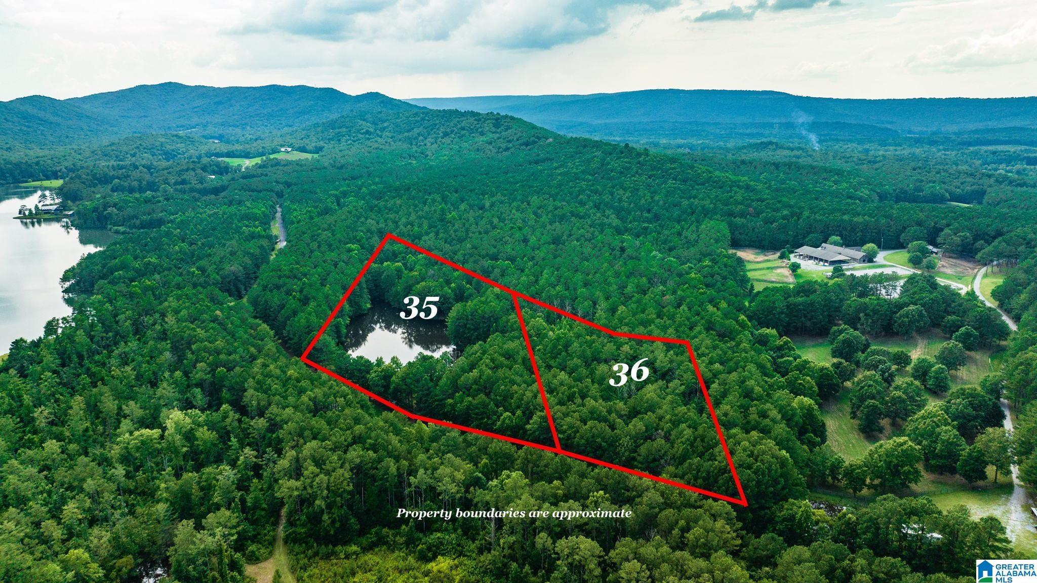 Lot 35 Twin Pines Road, Unit 35 Sterrett, AL 35147 - Photo 13 of 24