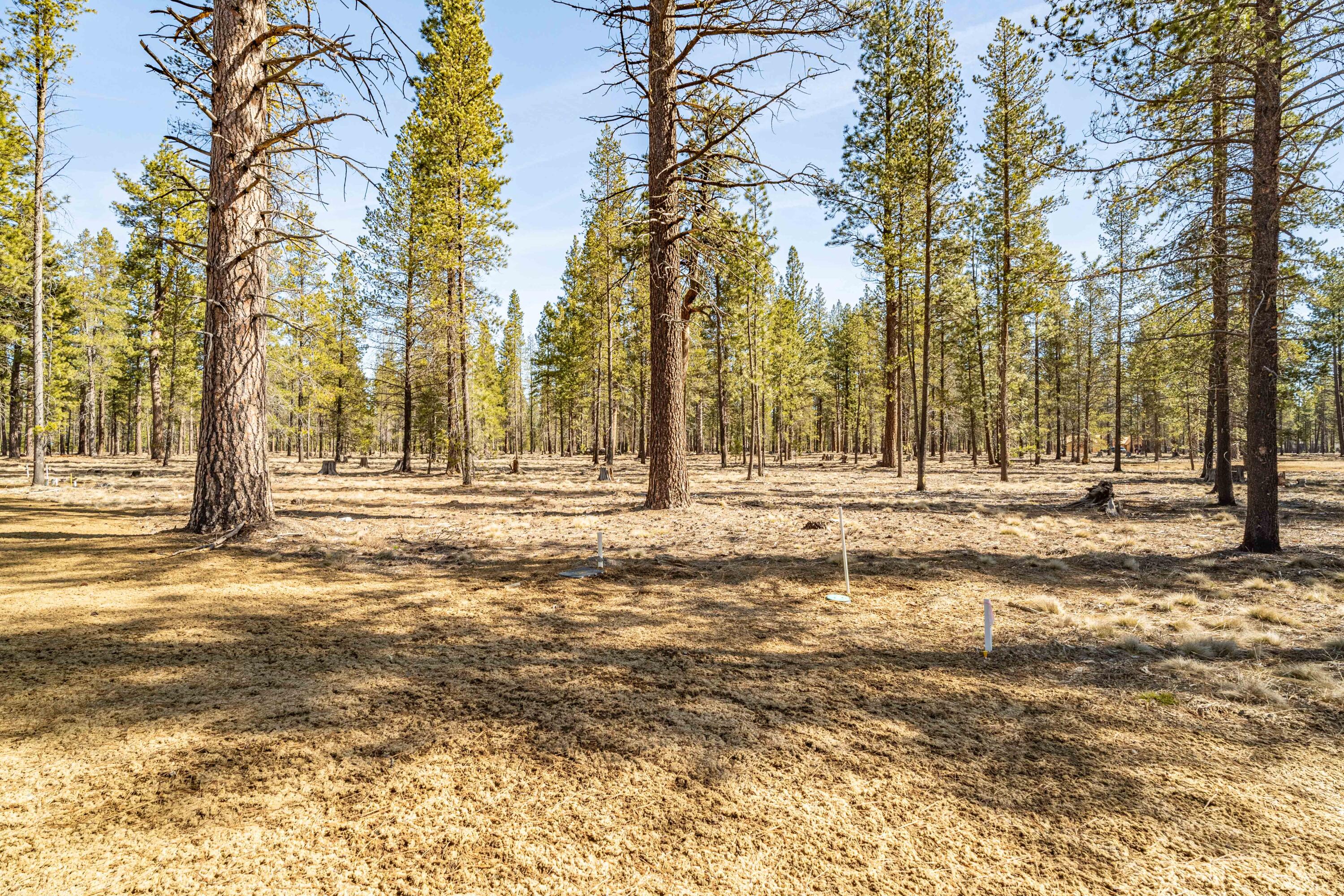 Preservation Loop Bend, Unit 490 Bend, OR 97707 - Photo 2 of 20 DSC07527-HDR