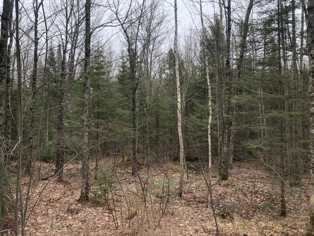 8 Old 8 Road Crandon, WI 54520 - Photo 32 of 39 Gallery Image 32