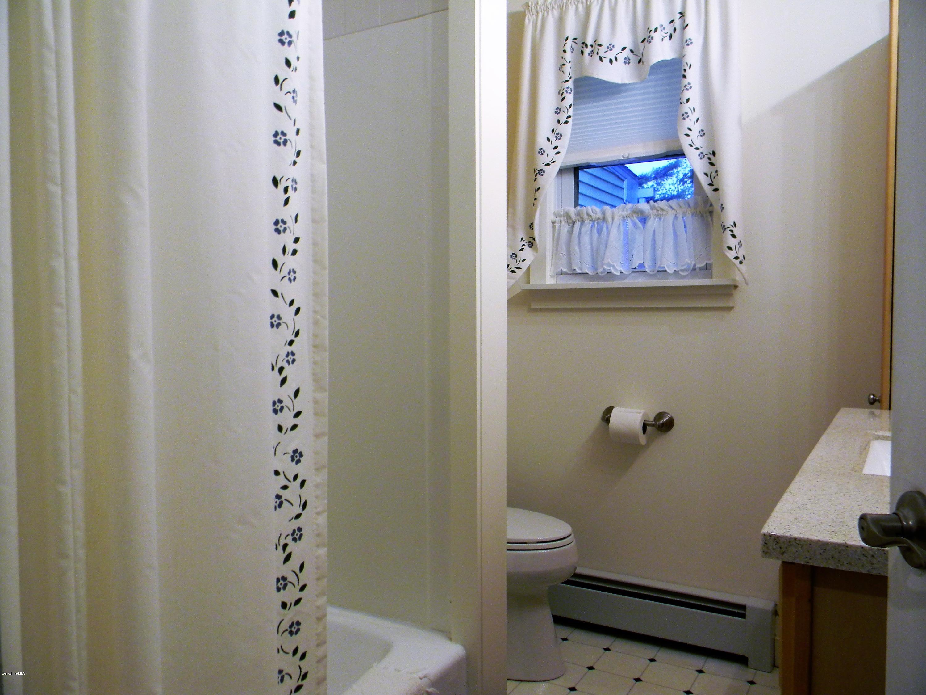9 Balance Rock Road Lanesborough, MA 01237 - Photo 10 of 20 a bathroom with a toilet and a shower curtain