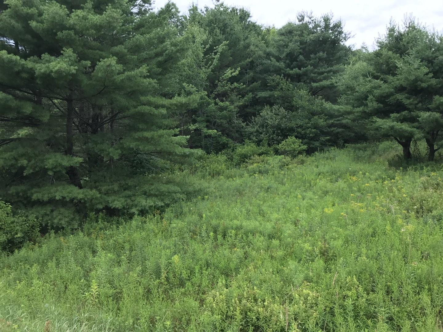 0 Togus Road Augusta, ME 04330 - Photo 2 of 6 2 (Copy)