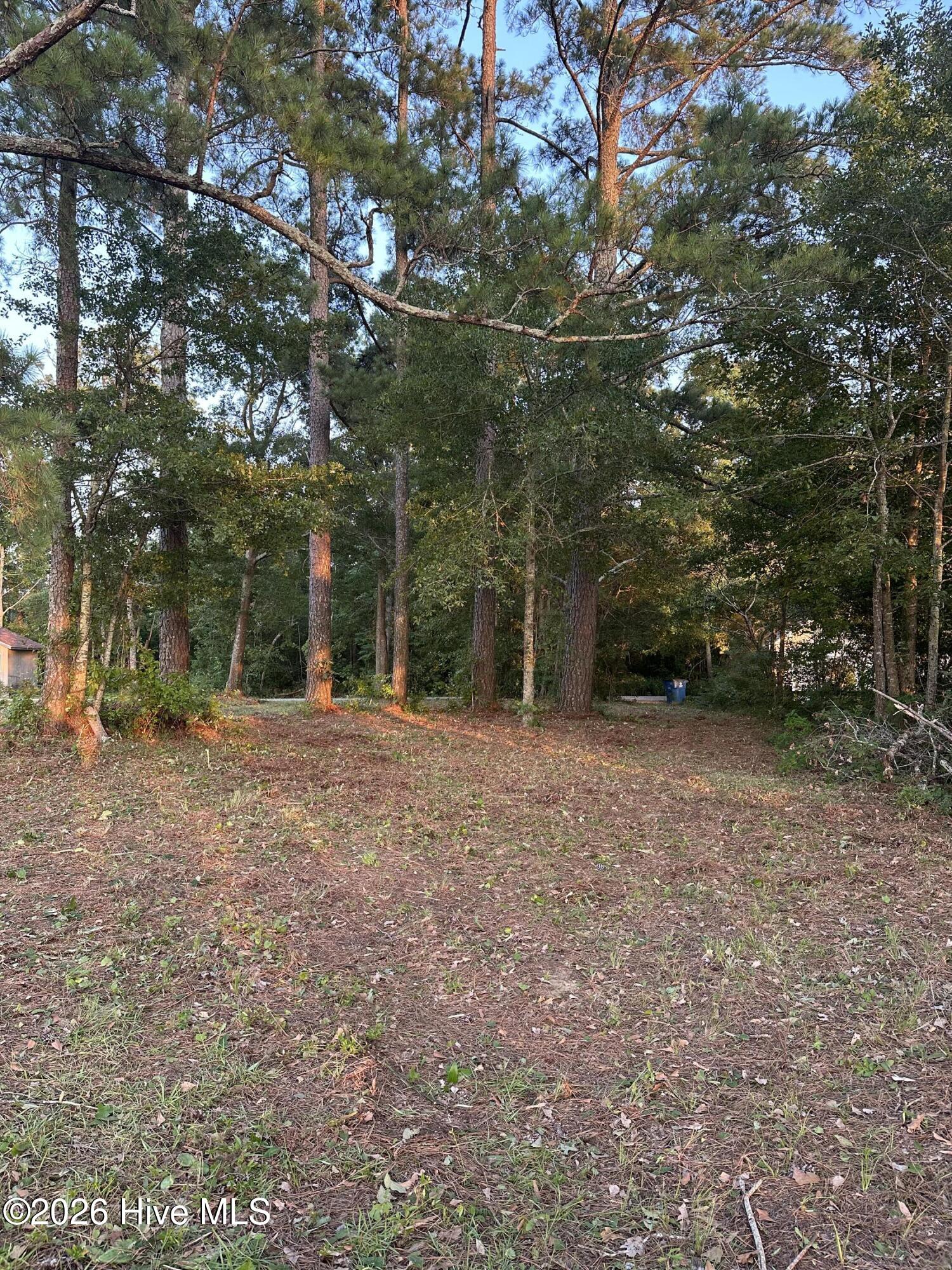 Lot 2 Newberry Landing Roper, NC 27970 - Photo 5 of 9