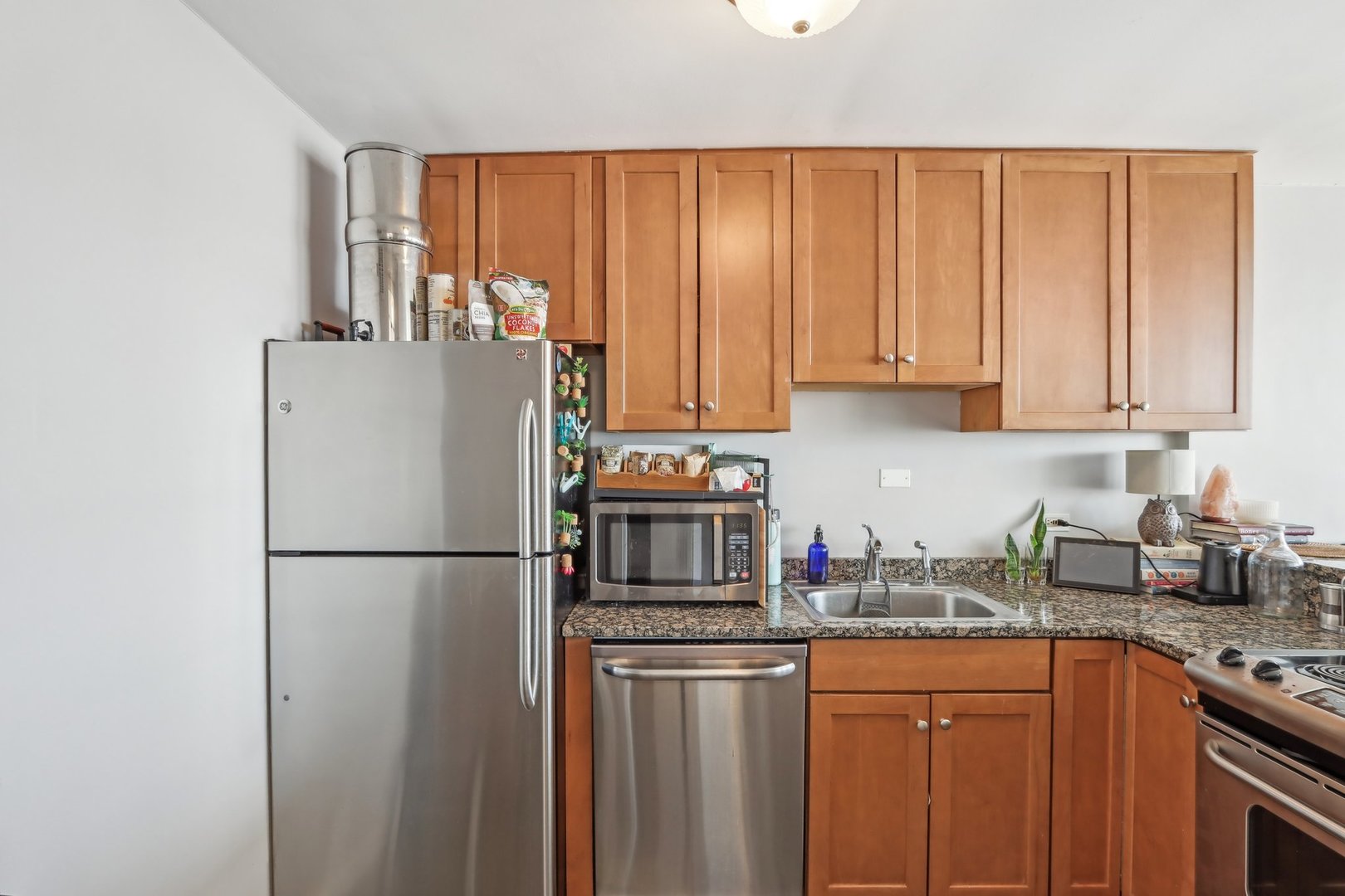 655 West Irving Park Road, Unit 2805 Chicago, IL 60613 - Photo 17 of 37 Gallery Image 17