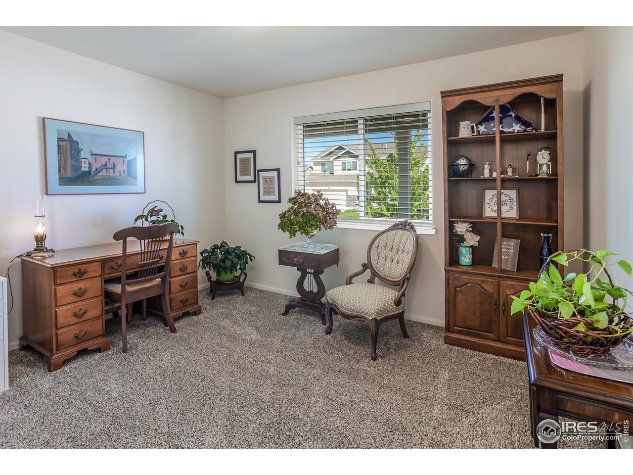 944 Maplebrook Drive Windsor, CO 80550 - Photo 23 of 32 a living room with furniture and a potted plant