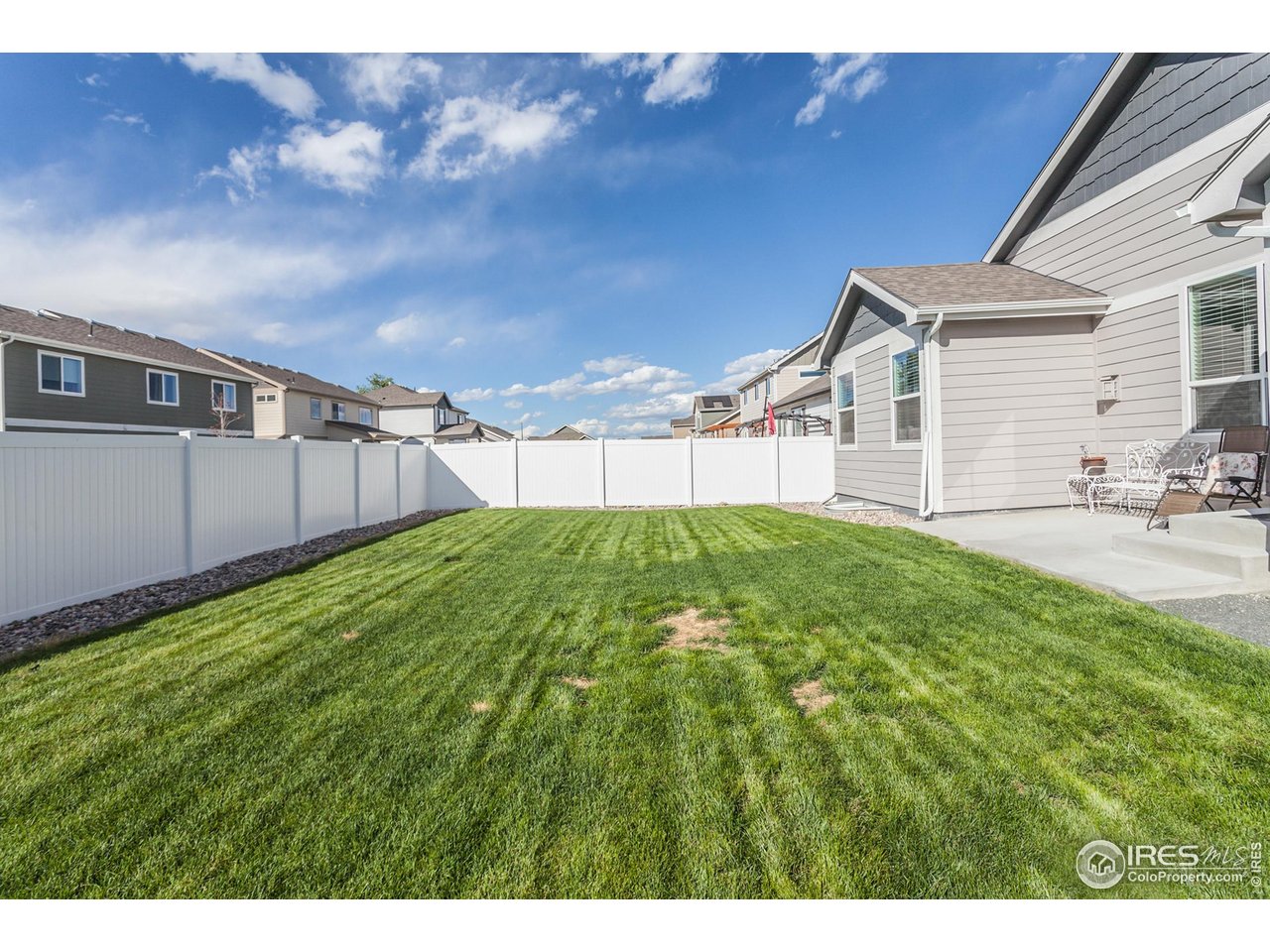 944 Maplebrook Drive Windsor, CO 80550 - Photo 31 of 32 a view of a backyard with plants