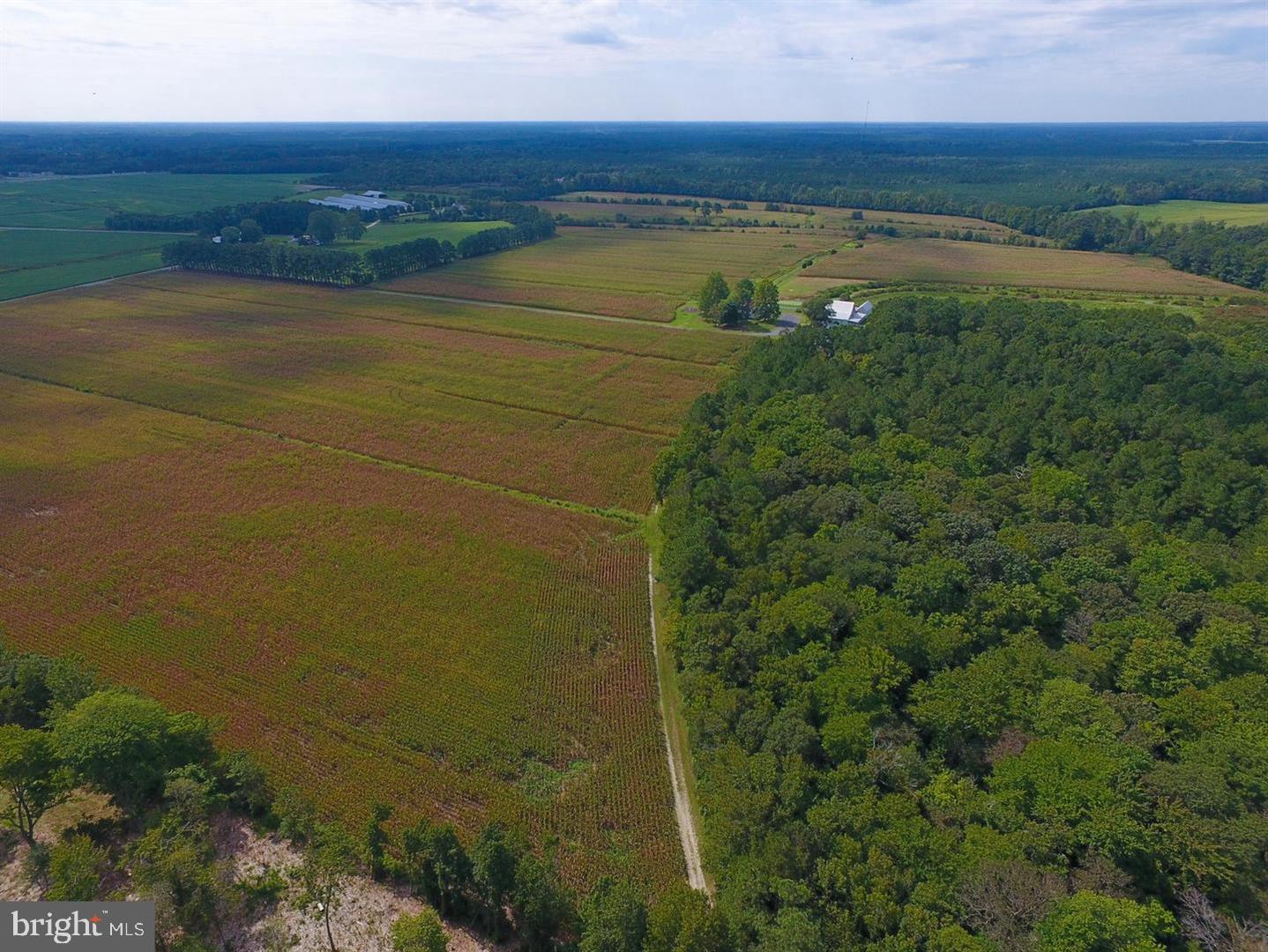 3748 Stockyard Road Eden, MD 21822 - Photo 7 of 37