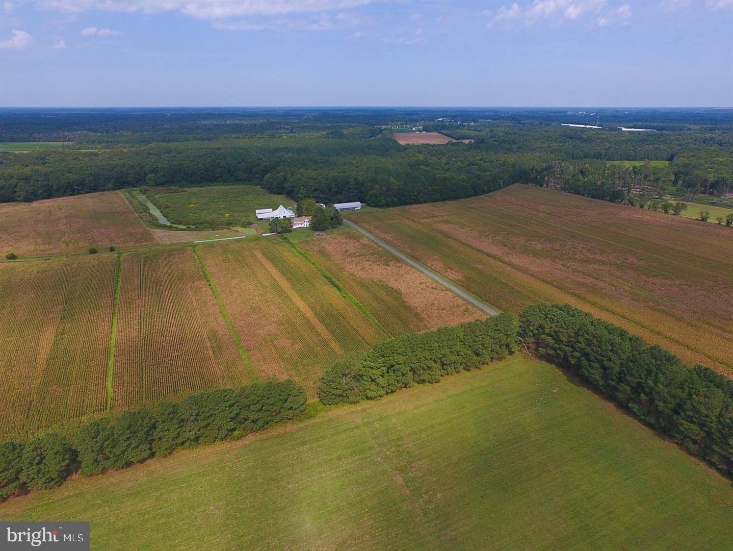 3748 Stockyard Road Eden, MD 21822 - Photo 8 of 37