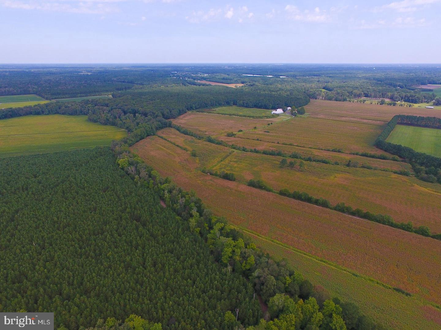 3748 Stockyard Road Eden, MD 21822 - Photo 9 of 37