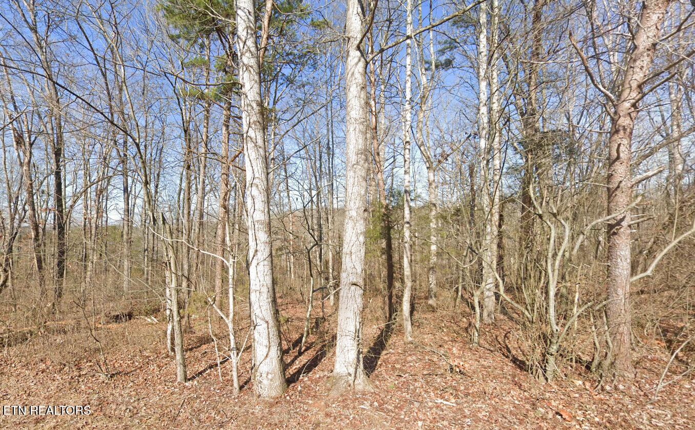 115 Chanusi Way Loudon, TN 37774 - Photo 1 of 3 115 Chanusi Way ground photo