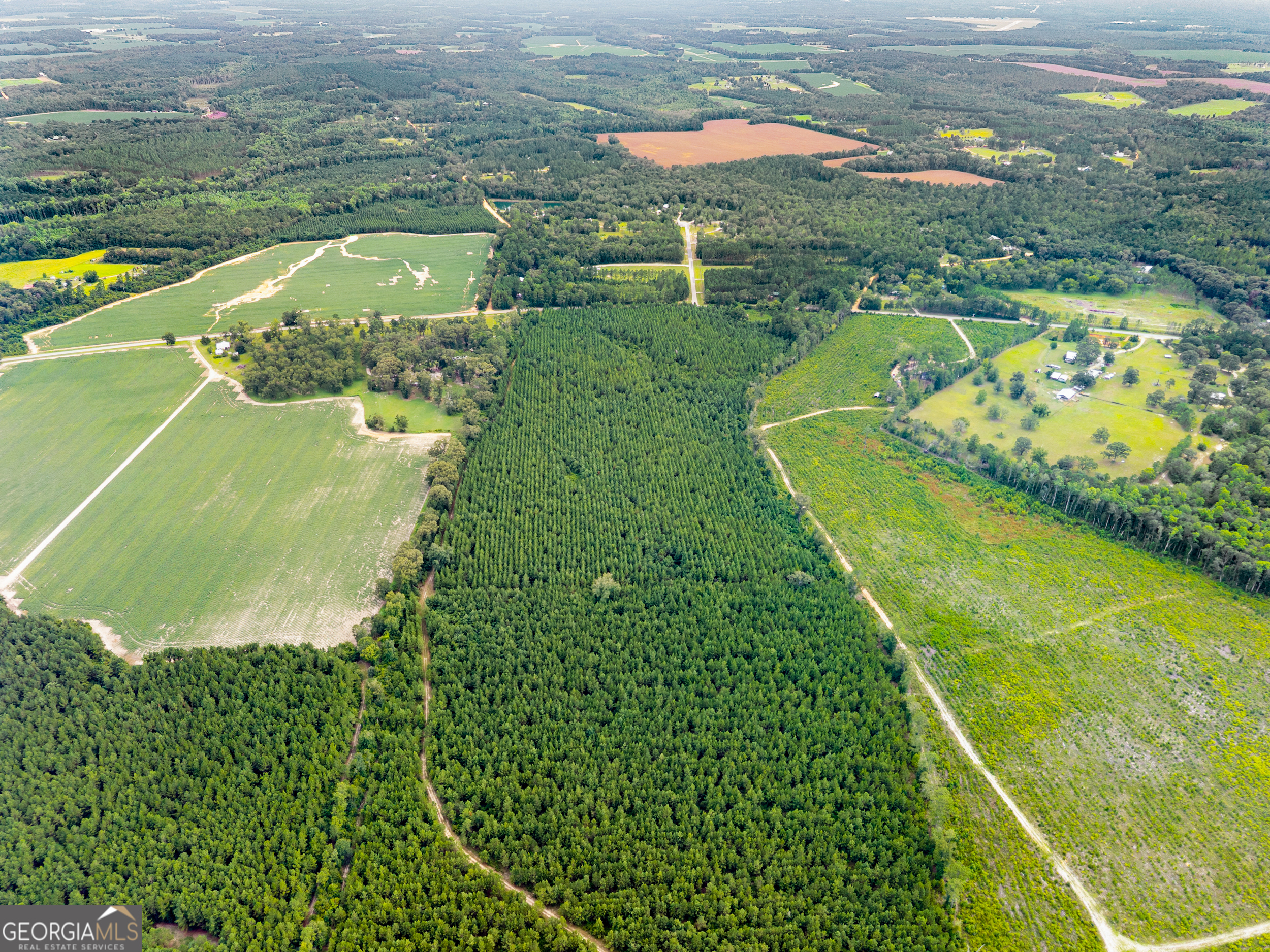 232-acres Old River Road North Statesboro, GA 30461 - Photo 11 of 23 a view of a lake with a yard