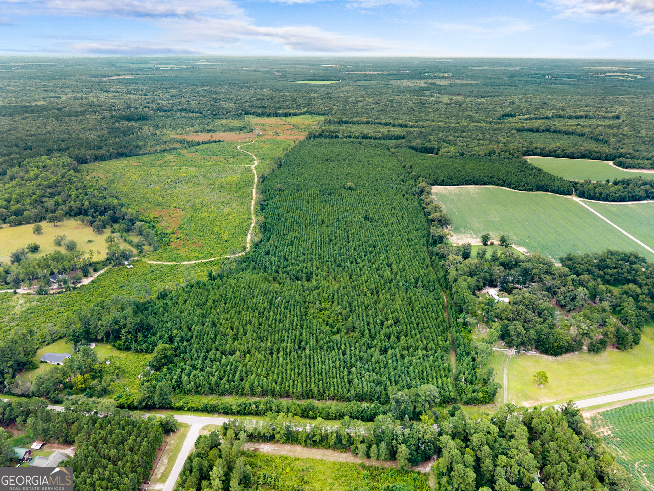 232-acres Old River Road North Statesboro, GA 30461 - Photo 14 of 23 a view of a city with a lake view