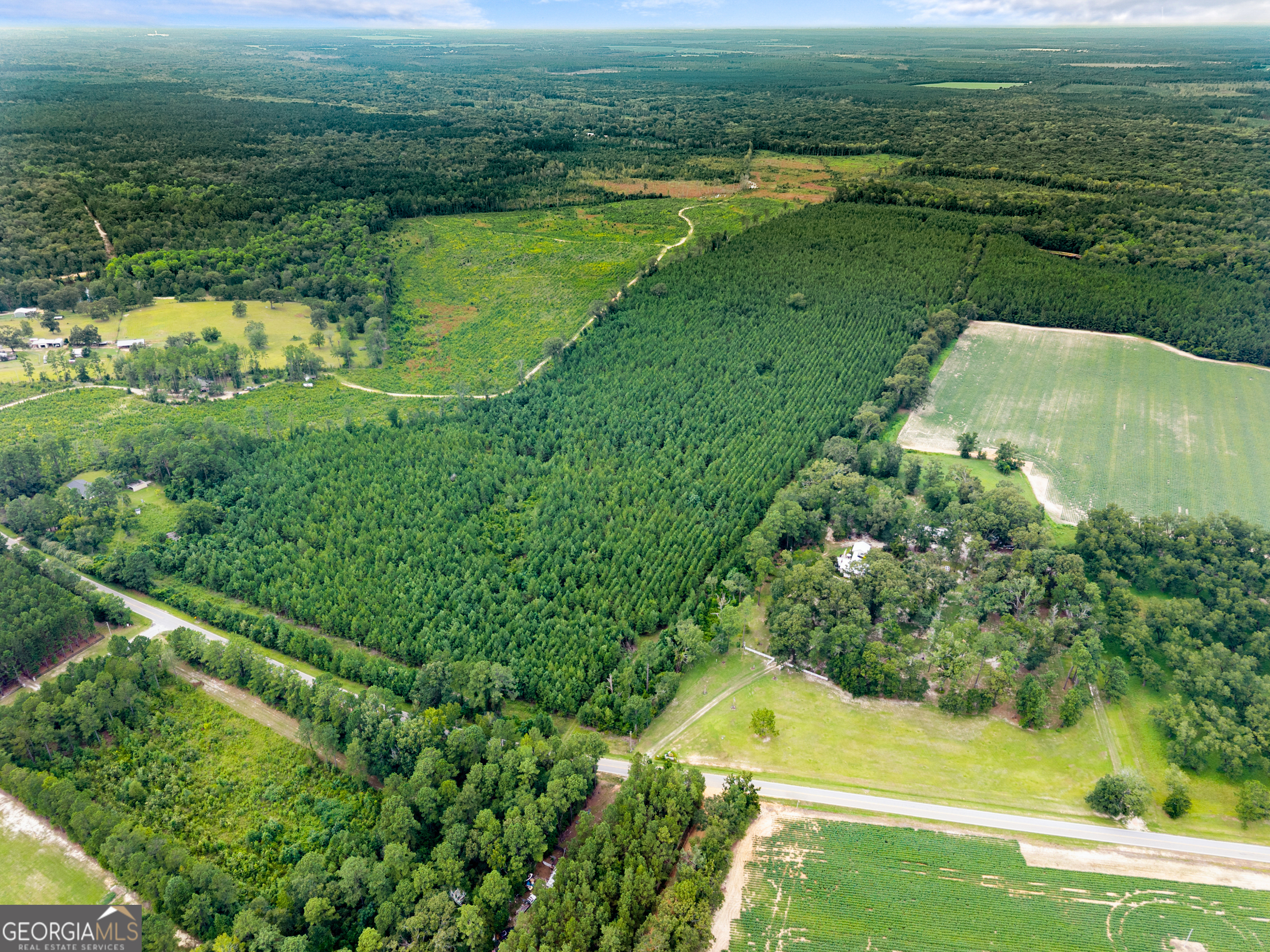 232-acres Old River Road North Statesboro, GA 30461 - Photo 15 of 23 a view of a golf course with an ocean