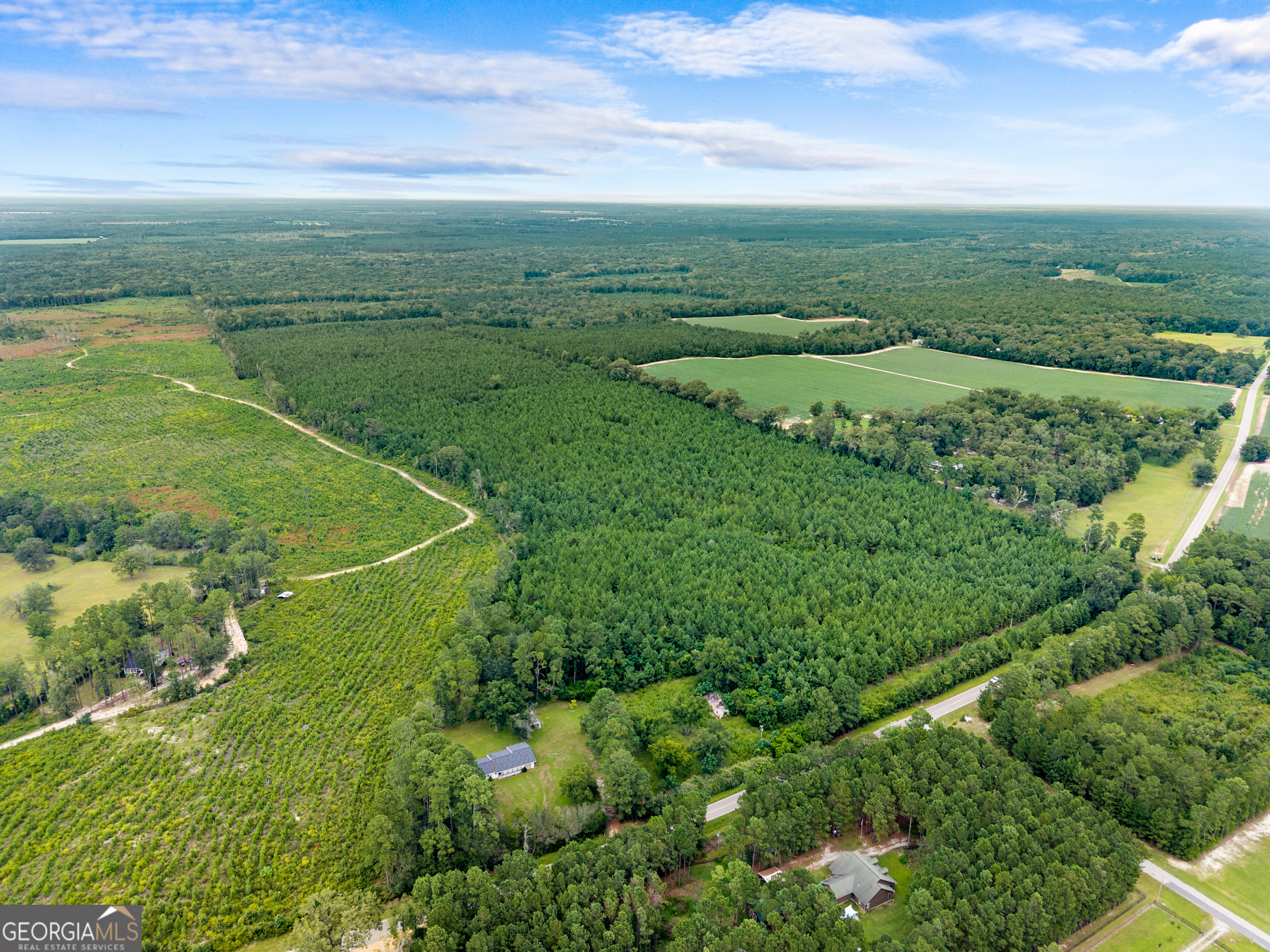 232-acres Old River Road North Statesboro, GA 30461 - Photo 17 of 23 a view of a field with an ocean
