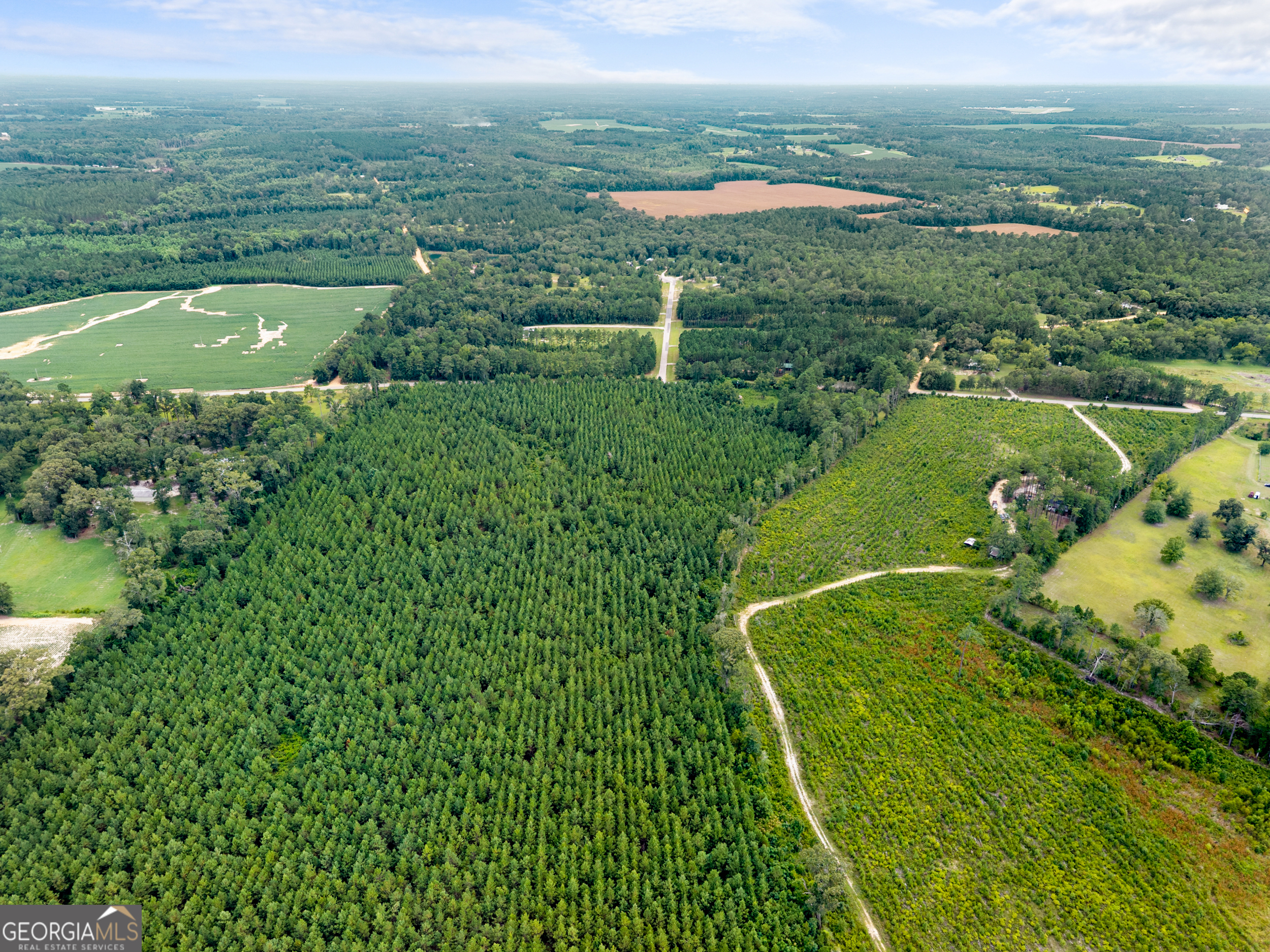 232-acres Old River Road North Statesboro, GA 30461 - Photo 23 of 23 an aerial view of a golf course with a park