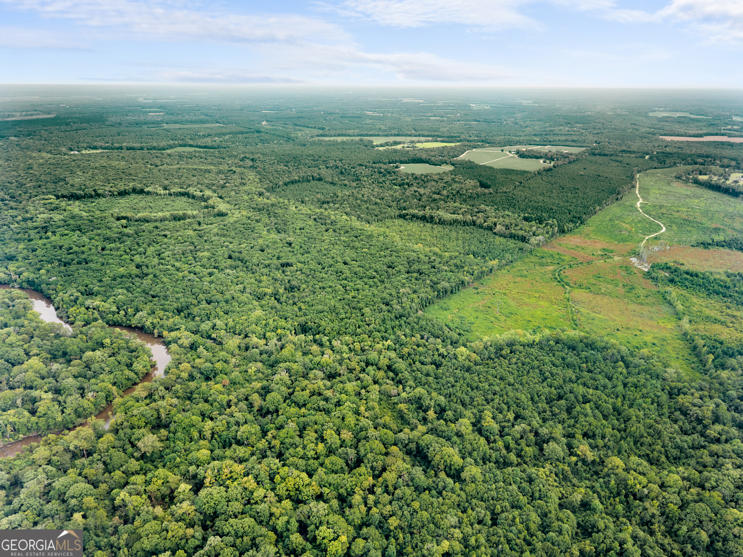 232-acres Old River Road North Statesboro, GA 30461 - Photo 5 of 23 an aerial view of residential houses with outdoor space and trees