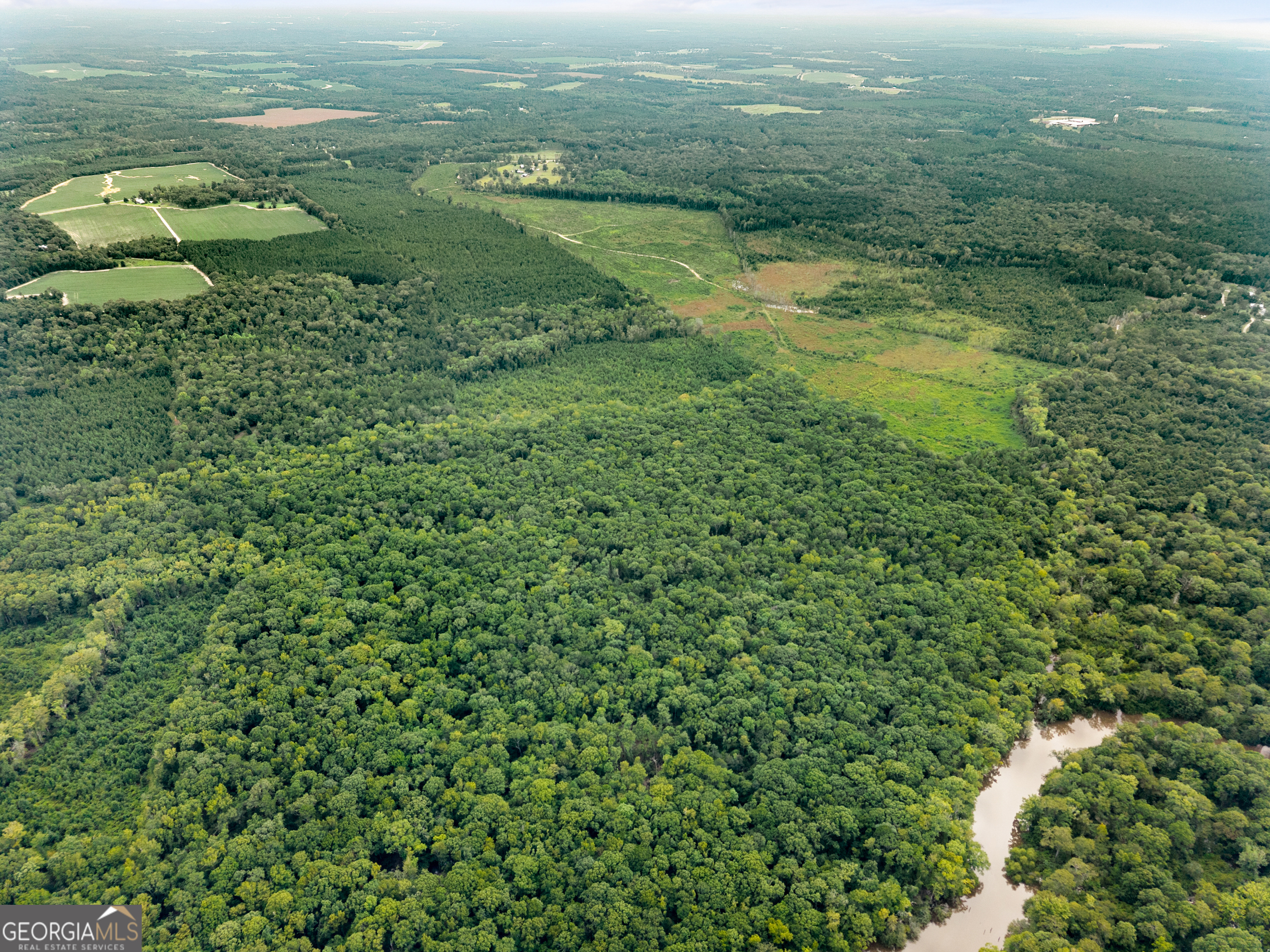 232-acres Old River Road North Statesboro, GA 30461 - Photo 6 of 23 a view of a field with an ocean view