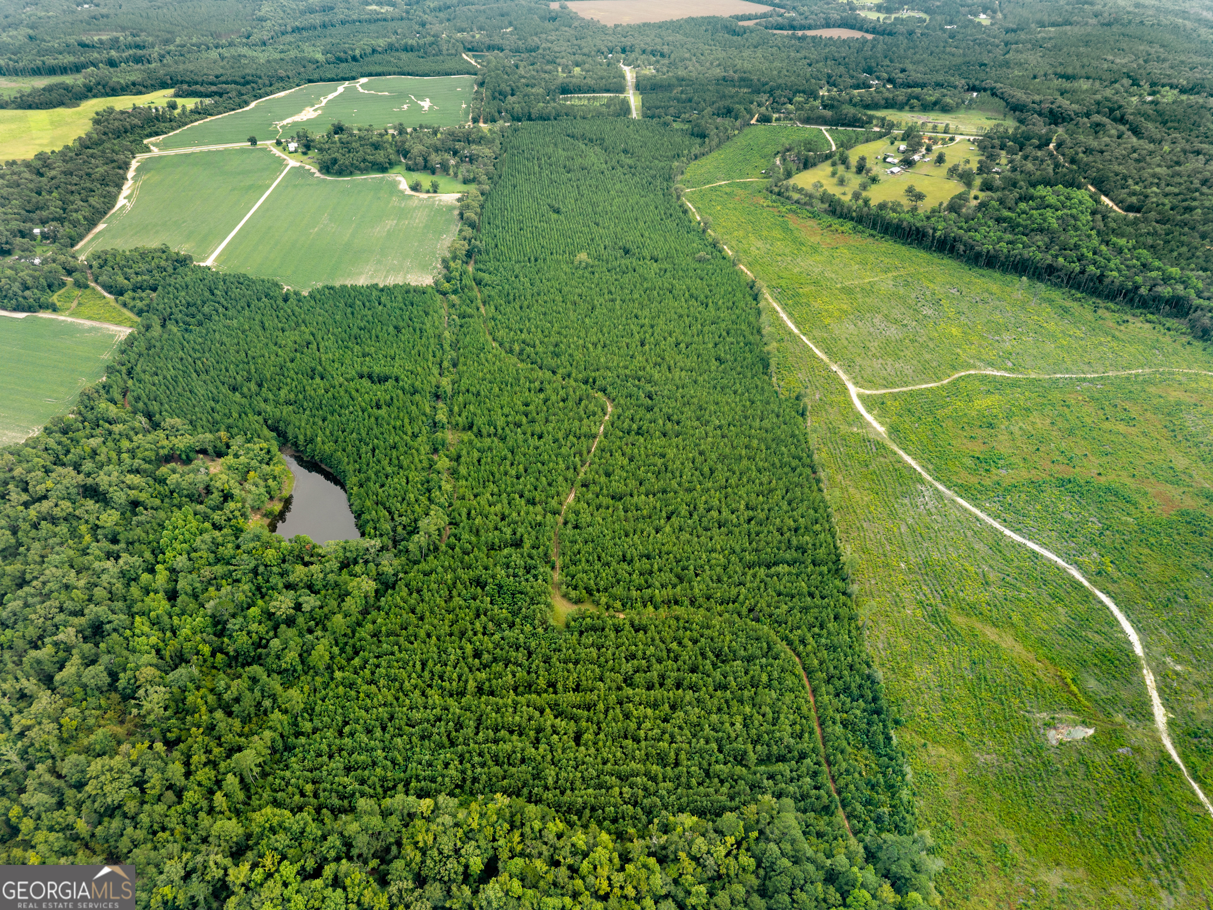 232-acres Old River Road North Statesboro, GA 30461 - Photo 9 of 23 a view of a lake with a large trees