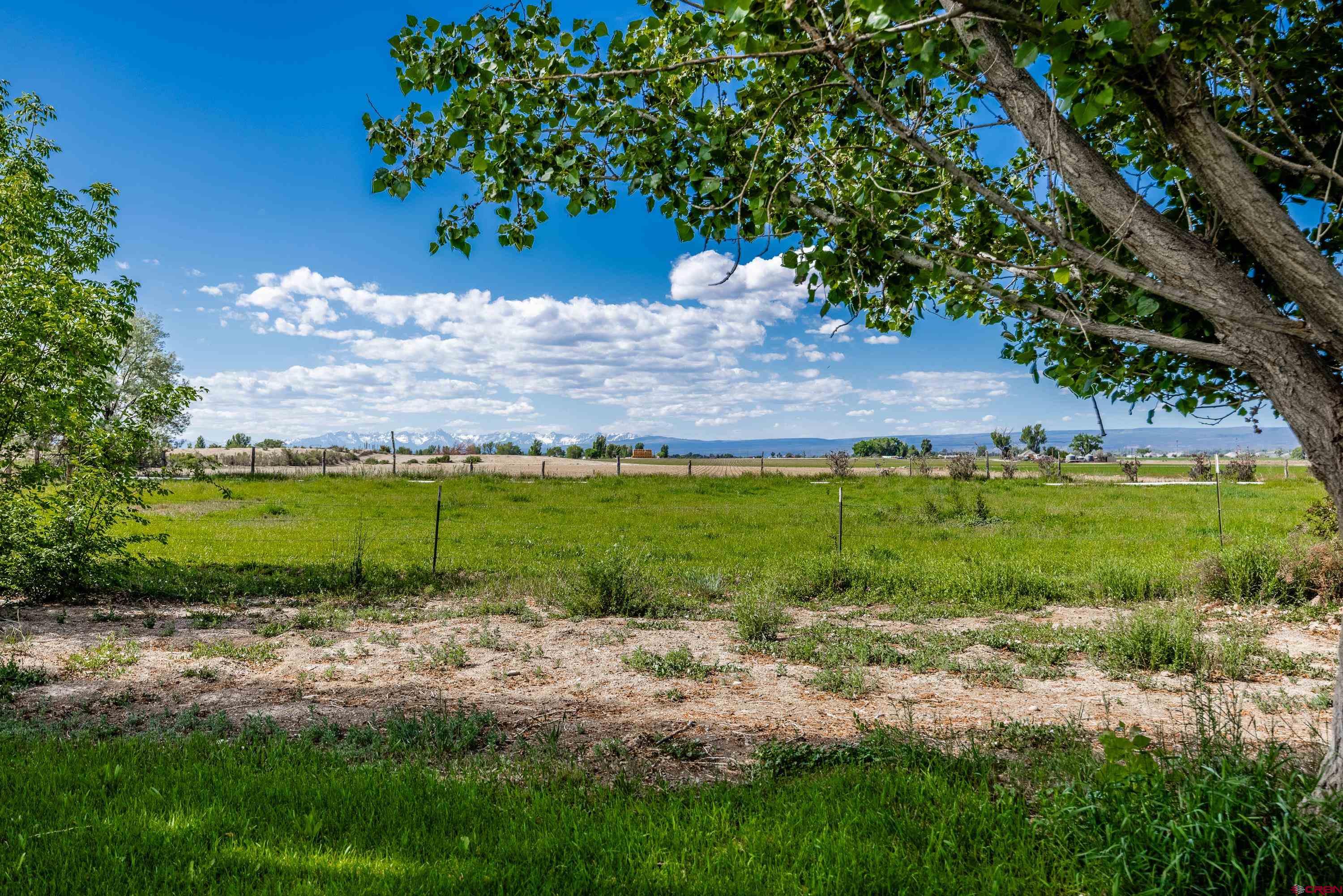 5184 6000th Road Olathe, CO 81425 - Photo 28 of 44