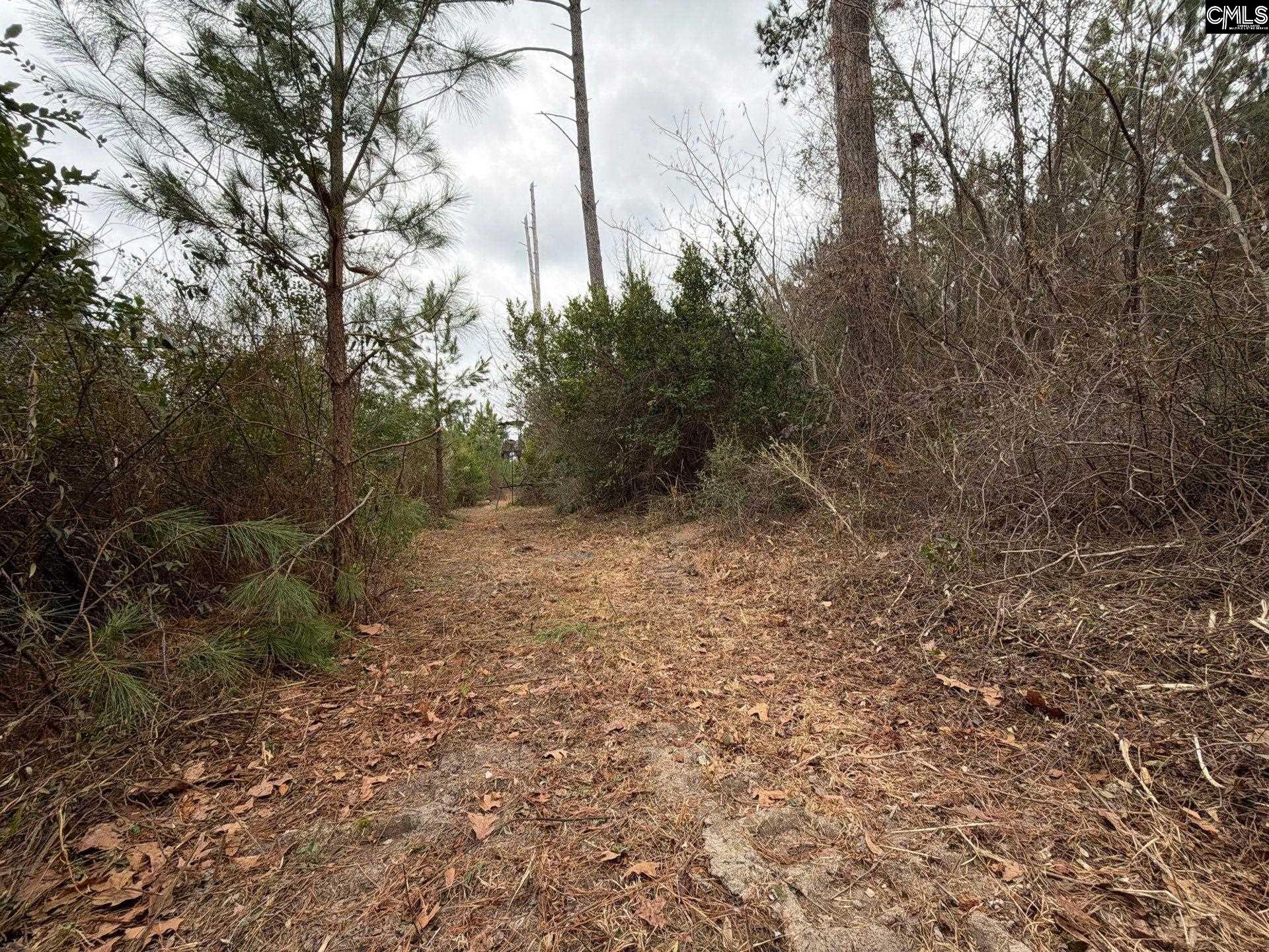 2 Jc Barefoot Road, Unit BFF II 2 Patrick, SC 29584 - Photo 9 of 13