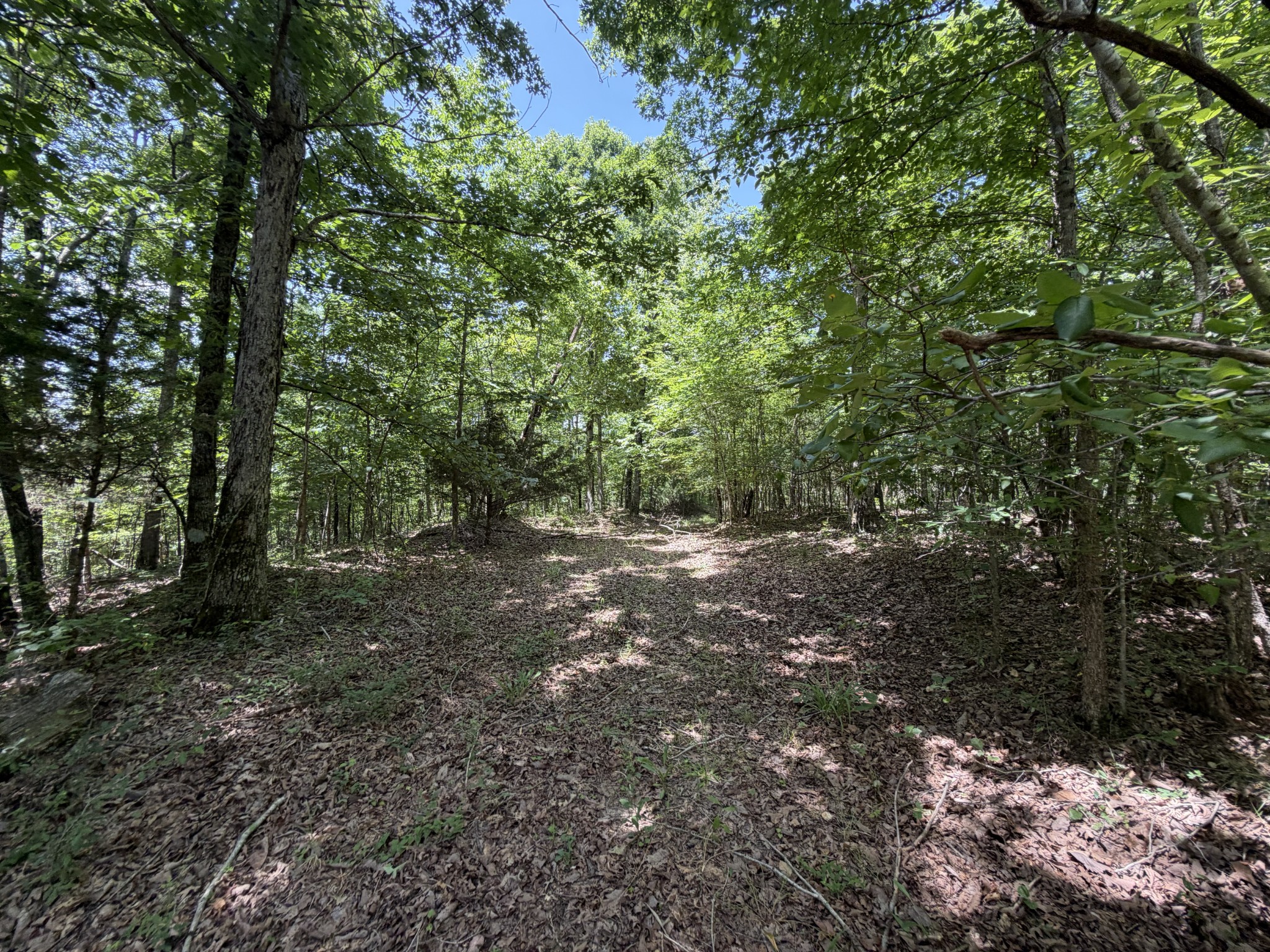 215 Bar Bee Road Hohenwald, TN 38462 - Photo 42 of 51