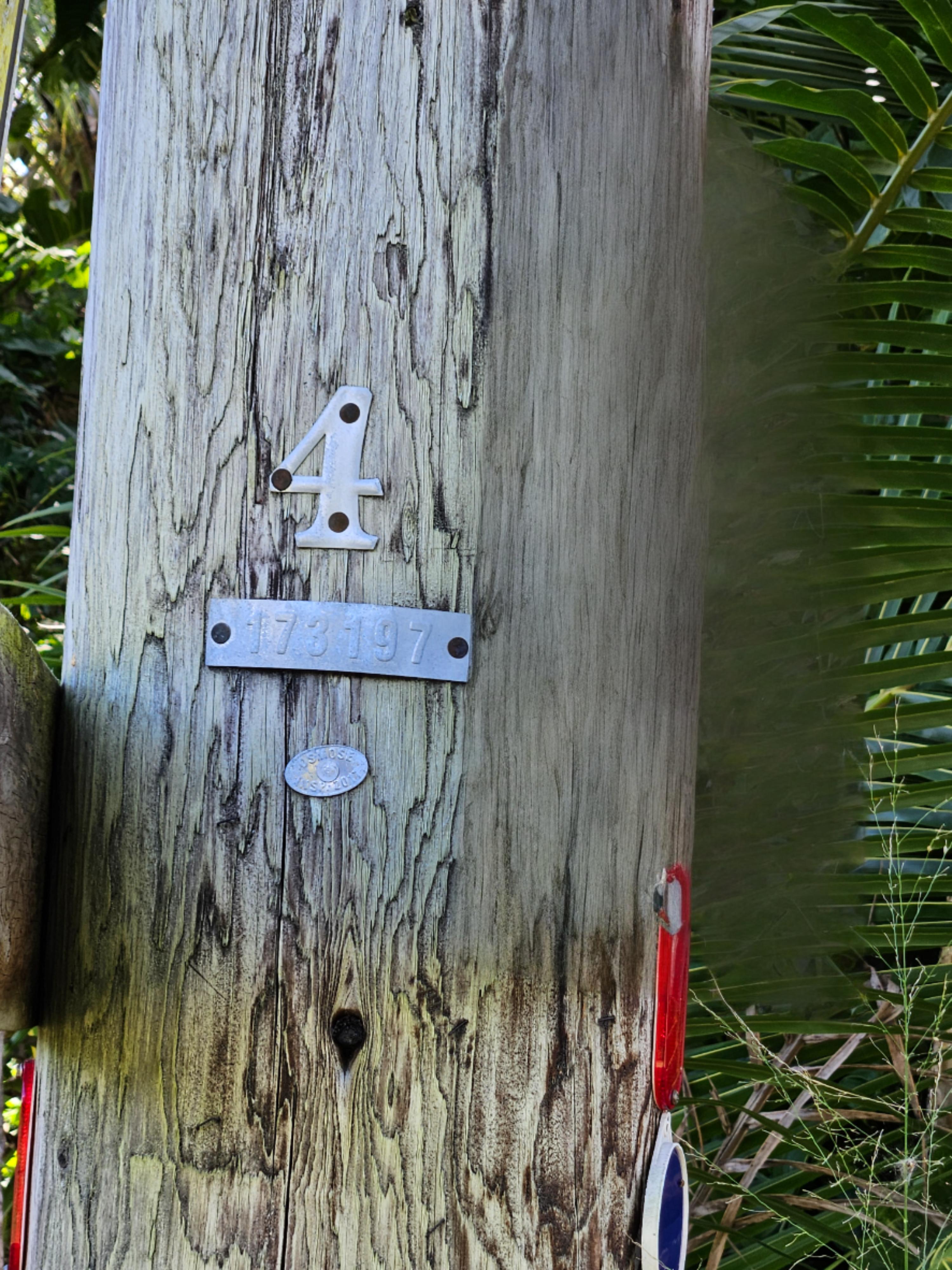 13 LikoLiko Loop Pahoa, HI 96778 - Photo 2 of 5 a view of entryway