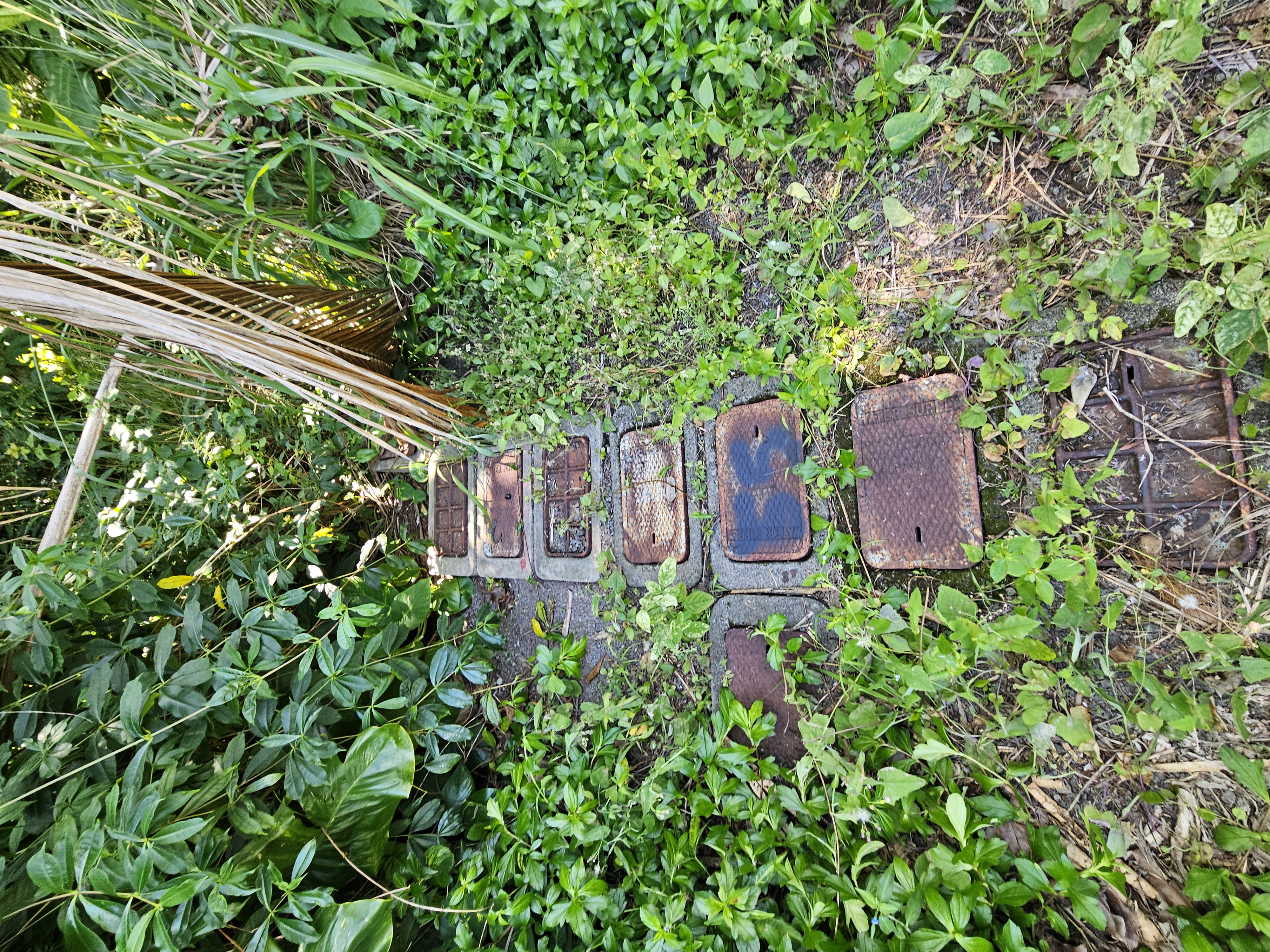 13 LikoLiko Loop Pahoa, HI 96778 - Photo 5 of 5 a view of a back yard