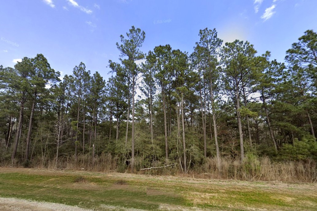 10621 Devotion Road Willis, TX 77378 - Photo 10 of 23