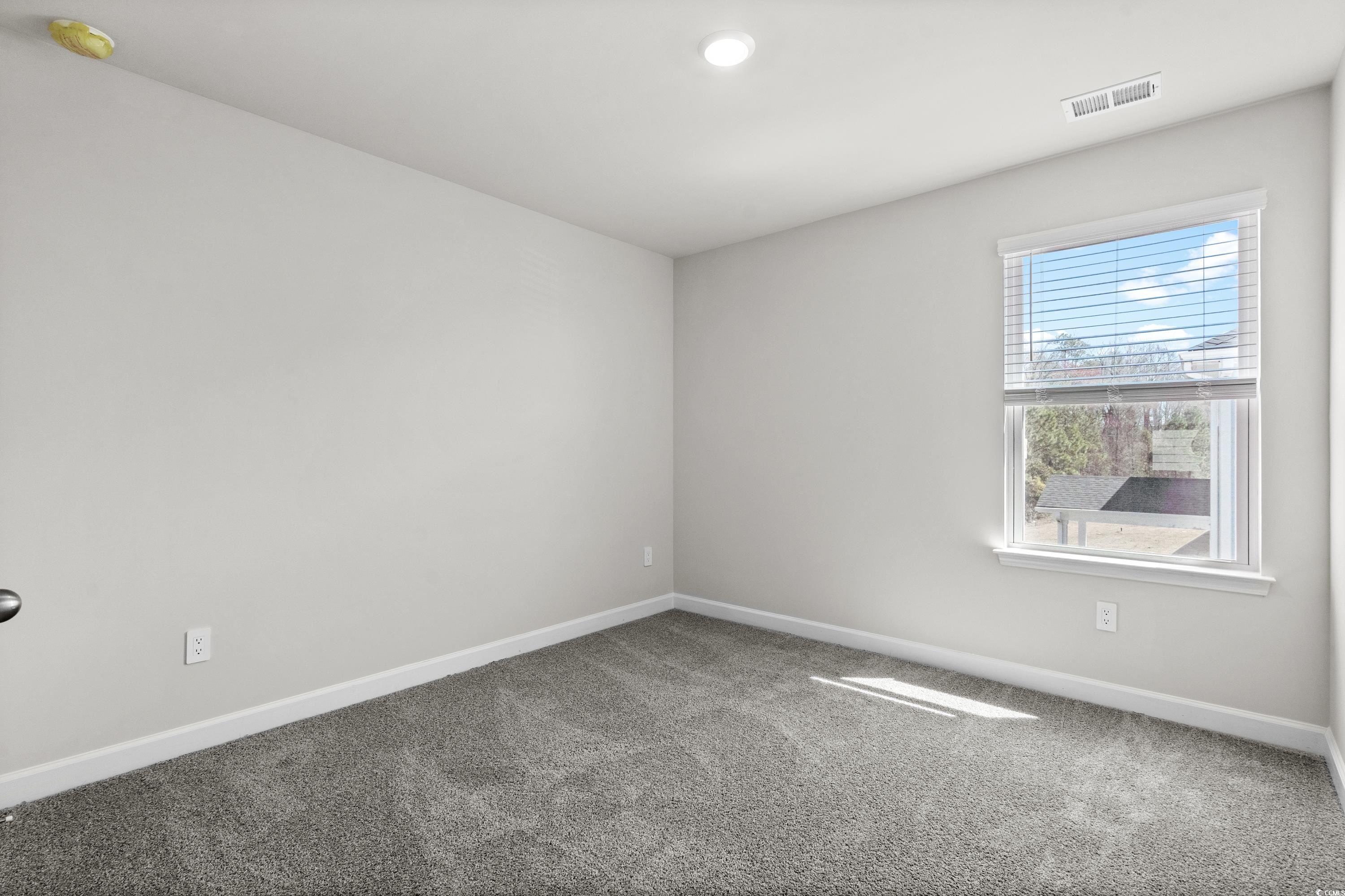 8249 Vibrant Loop Columbia, SC 29209 - Photo 28 of 40 Gallery Image 28