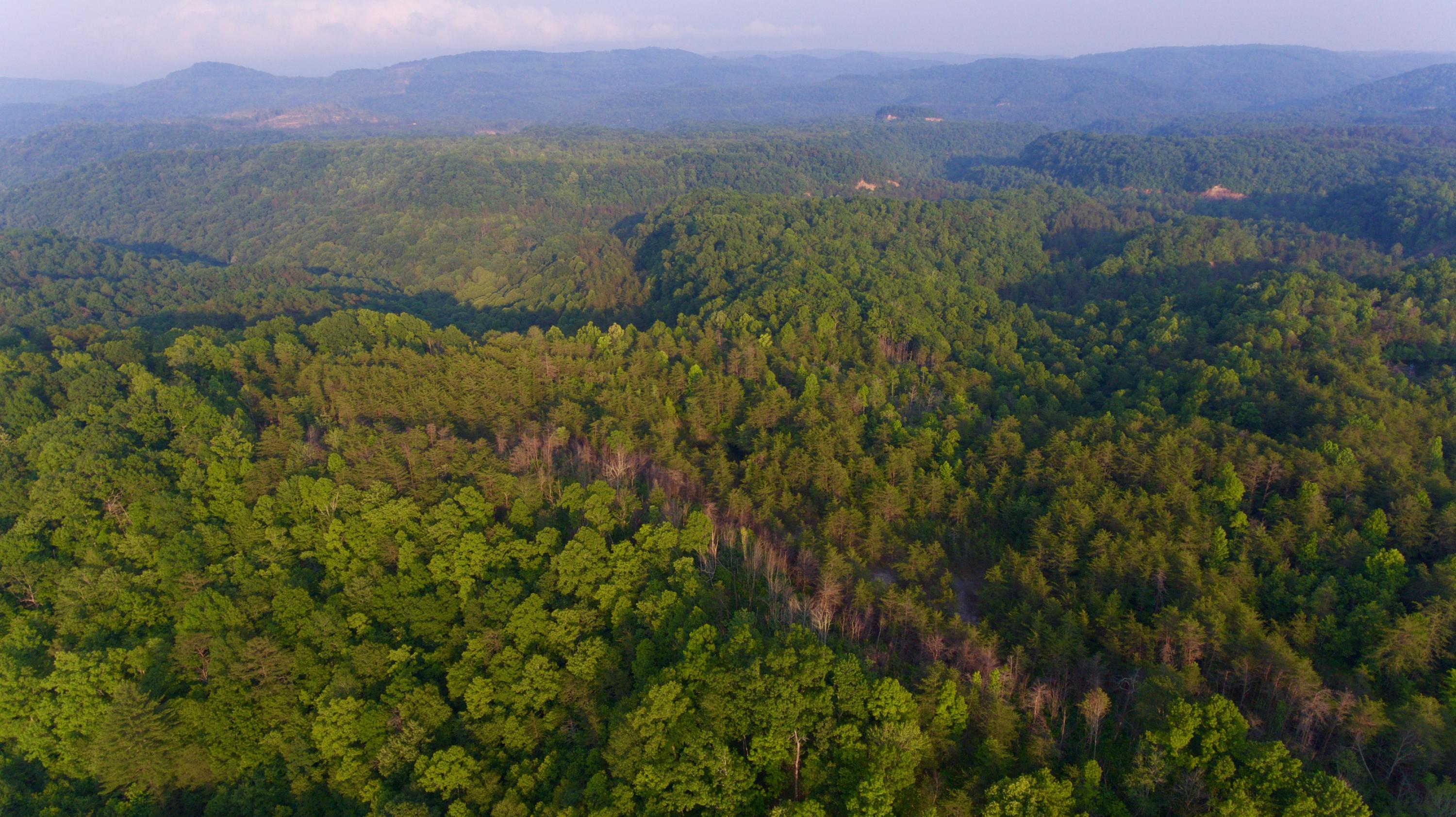 2675 Stinking Creek Road Pioneer, TN 37847 - Photo 11 of 40 11
