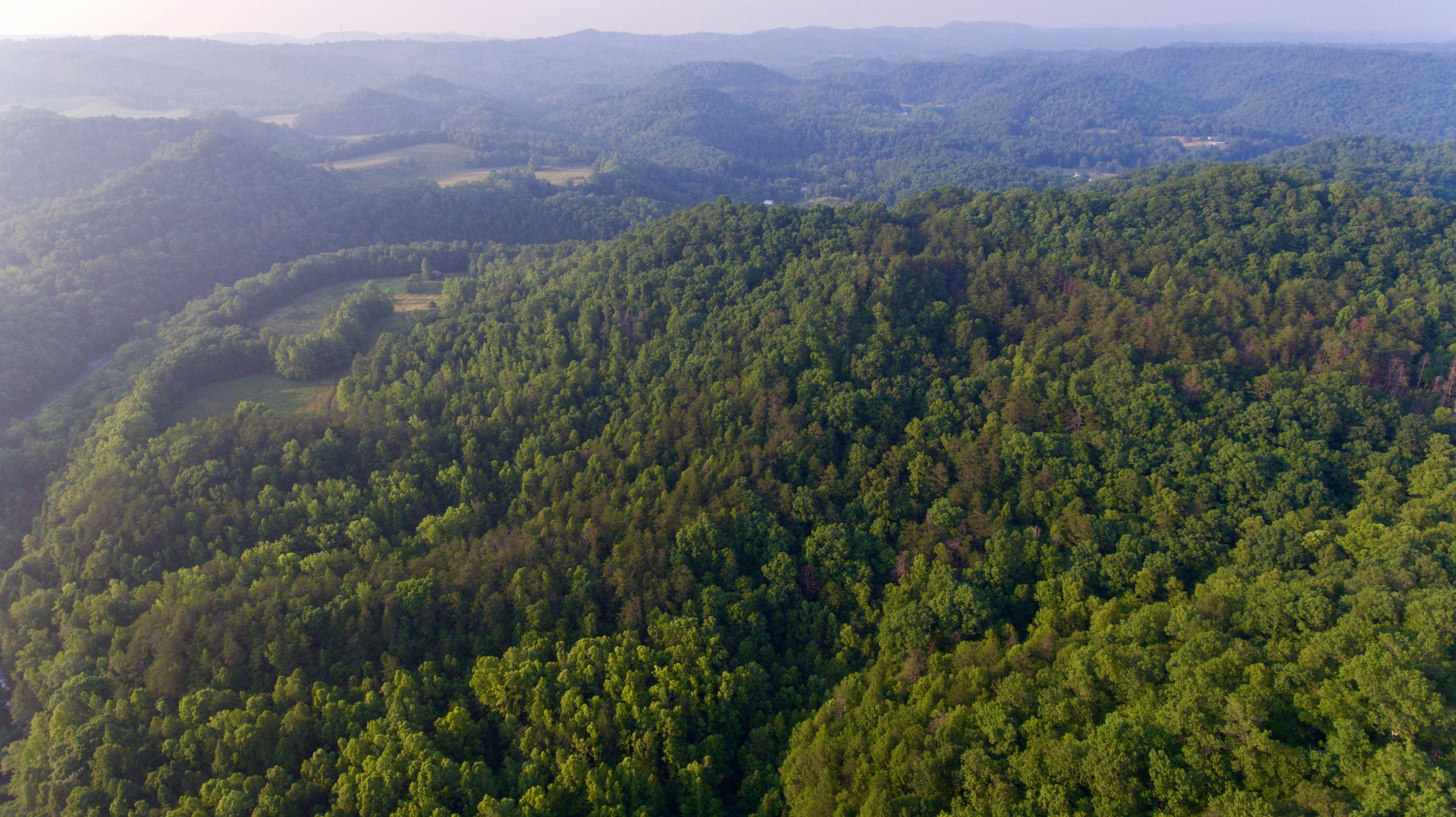 2675 Stinking Creek Road Pioneer, TN 37847 - Photo 12 of 40 12
