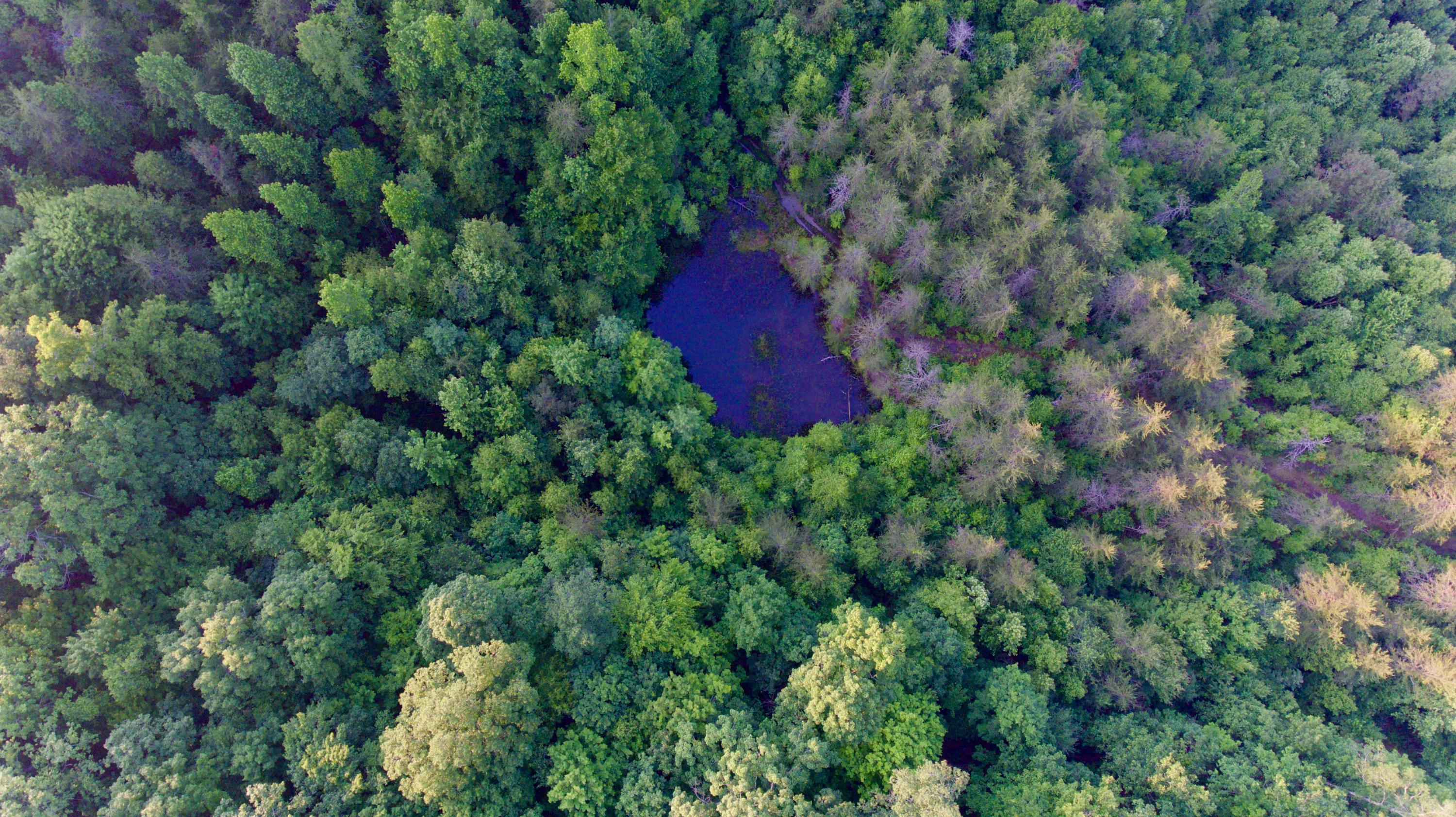 2675 Stinking Creek Road Pioneer, TN 37847 - Photo 13 of 40 13