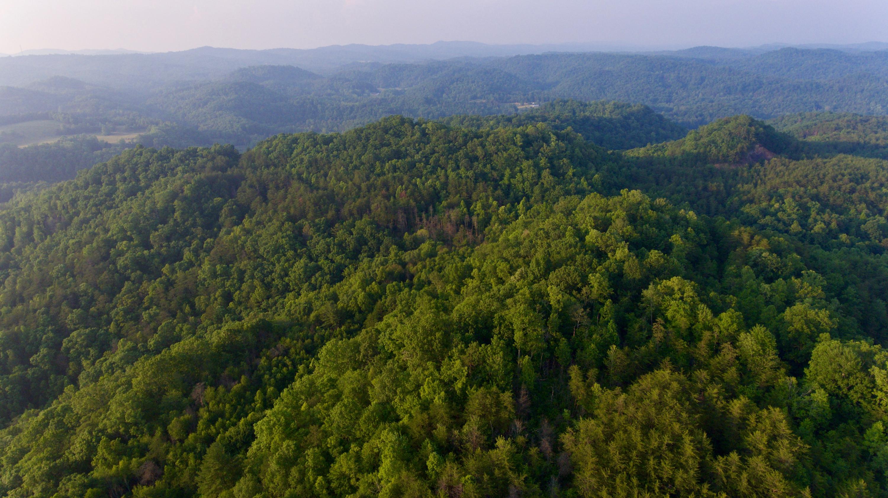 2675 Stinking Creek Road Pioneer, TN 37847 - Photo 14 of 40 14