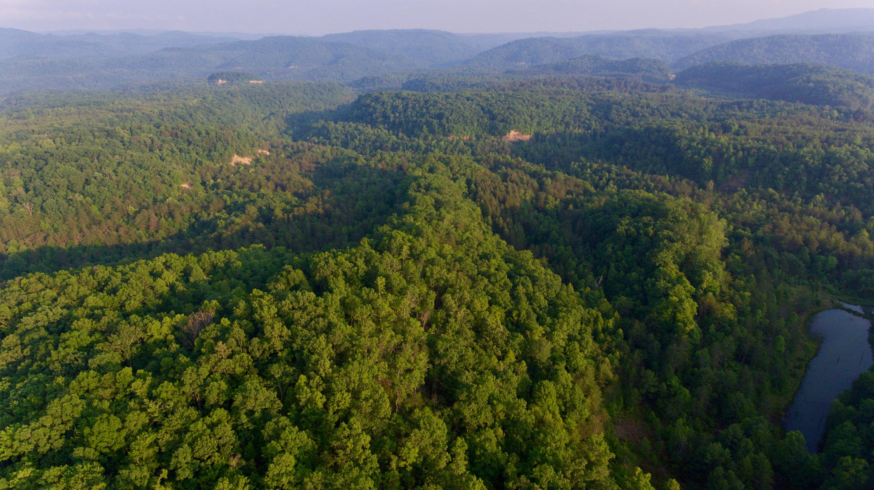 2675 Stinking Creek Road Pioneer, TN 37847 - Photo 15 of 40 15