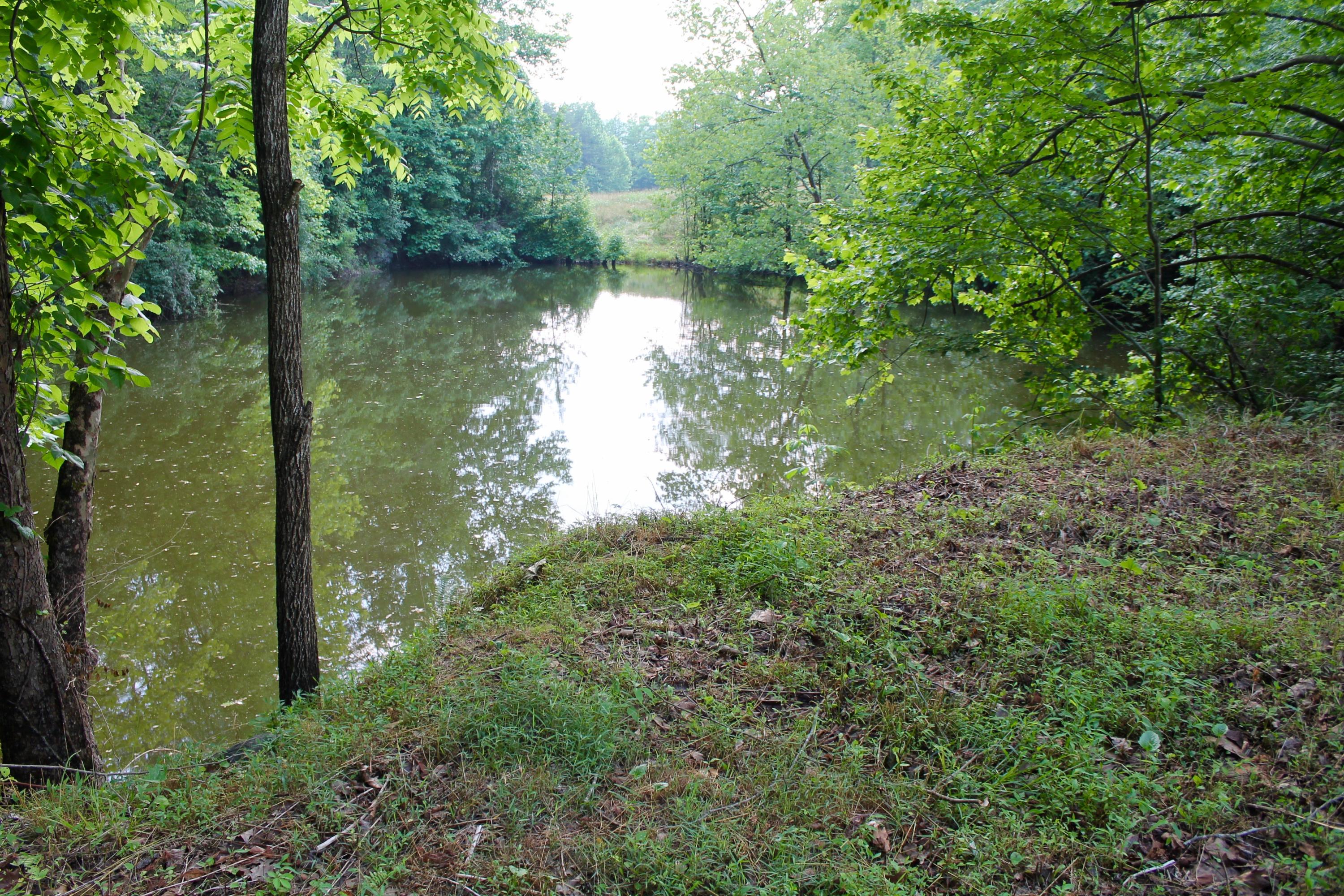 2675 Stinking Creek Road Pioneer, TN 37847 - Photo 17 of 40 17