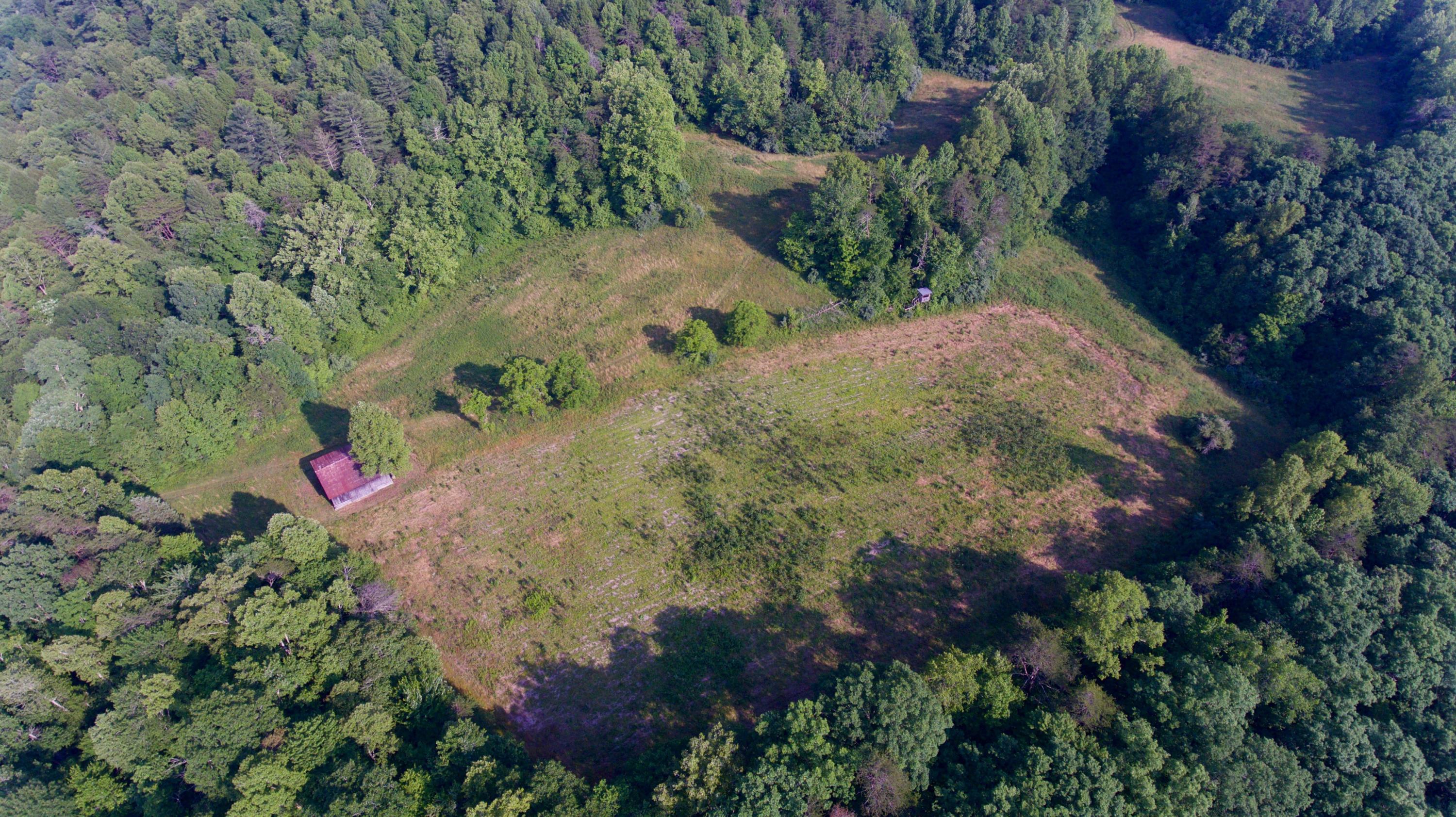 2675 Stinking Creek Road Pioneer, TN 37847 - Photo 4 of 40 4