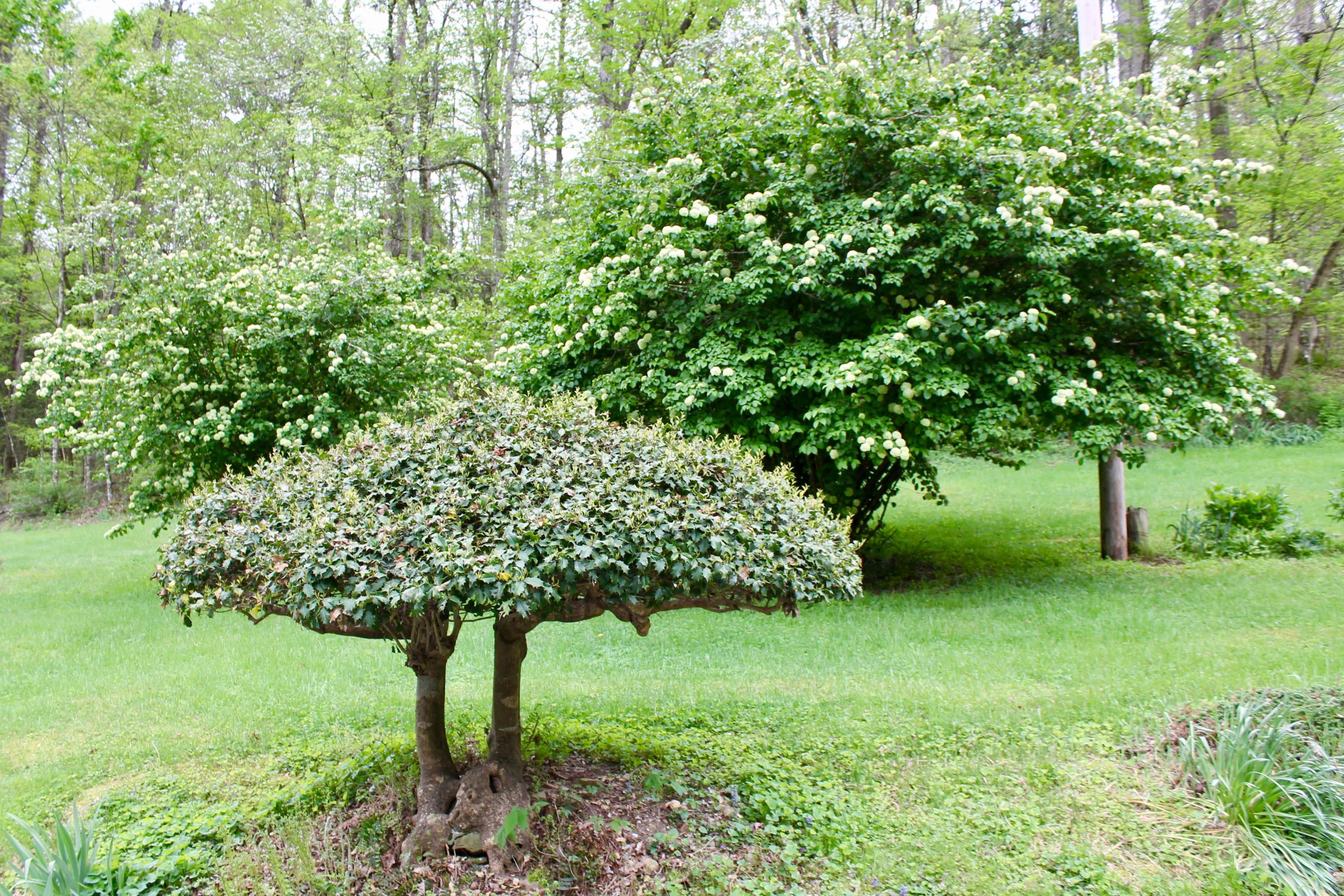 2675 Stinking Creek Road Pioneer, TN 37847 - Photo 35 of 40 35