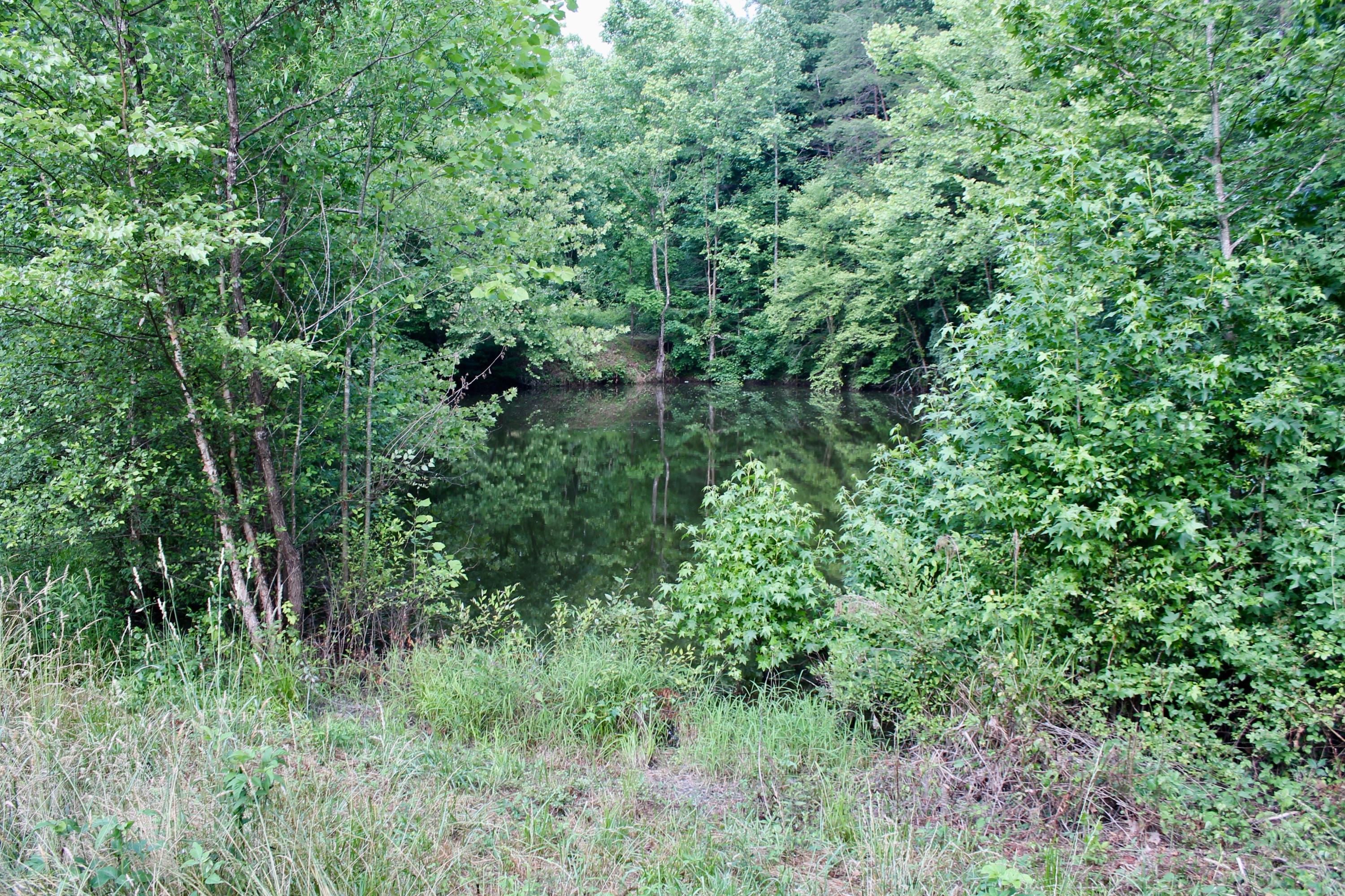 2675 Stinking Creek Road Pioneer, TN 37847 - Photo 36 of 40 36