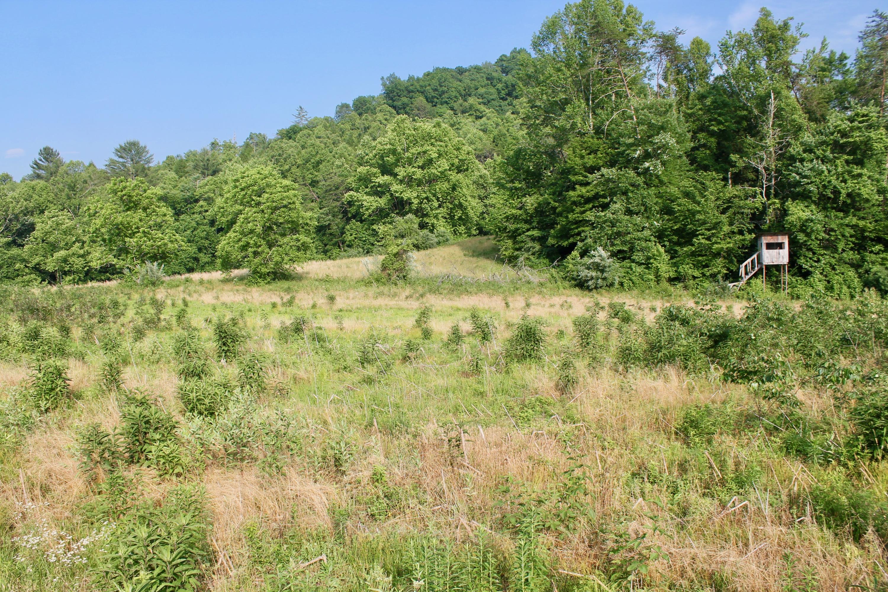2675 Stinking Creek Road Pioneer, TN 37847 - Photo 37 of 40 37