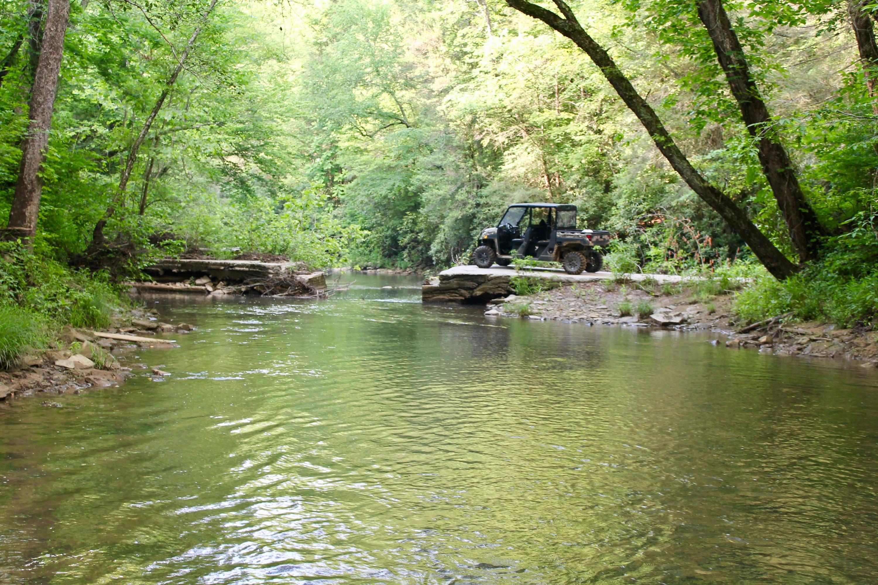 2675 Stinking Creek Road Pioneer, TN 37847 - Photo 40 of 40 40