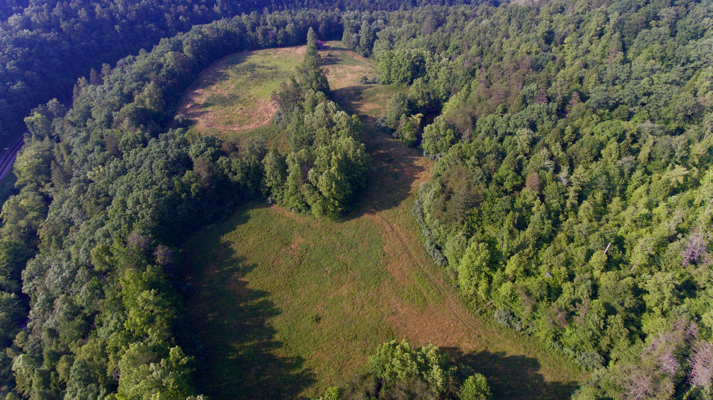 2675 Stinking Creek Road Pioneer, TN 37847 - Photo 5 of 40 5