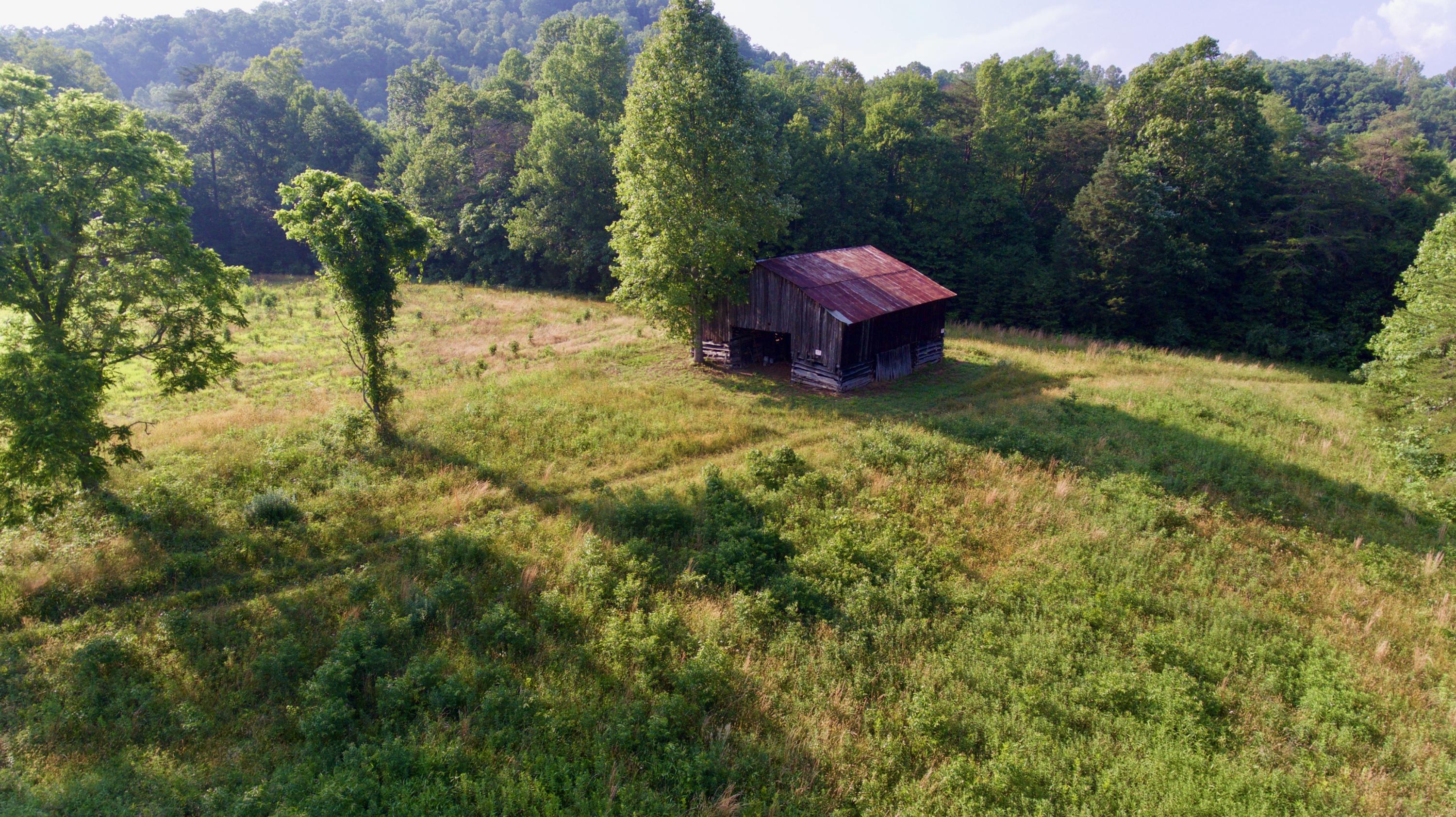 2675 Stinking Creek Road Pioneer, TN 37847 - Photo 8 of 40 8