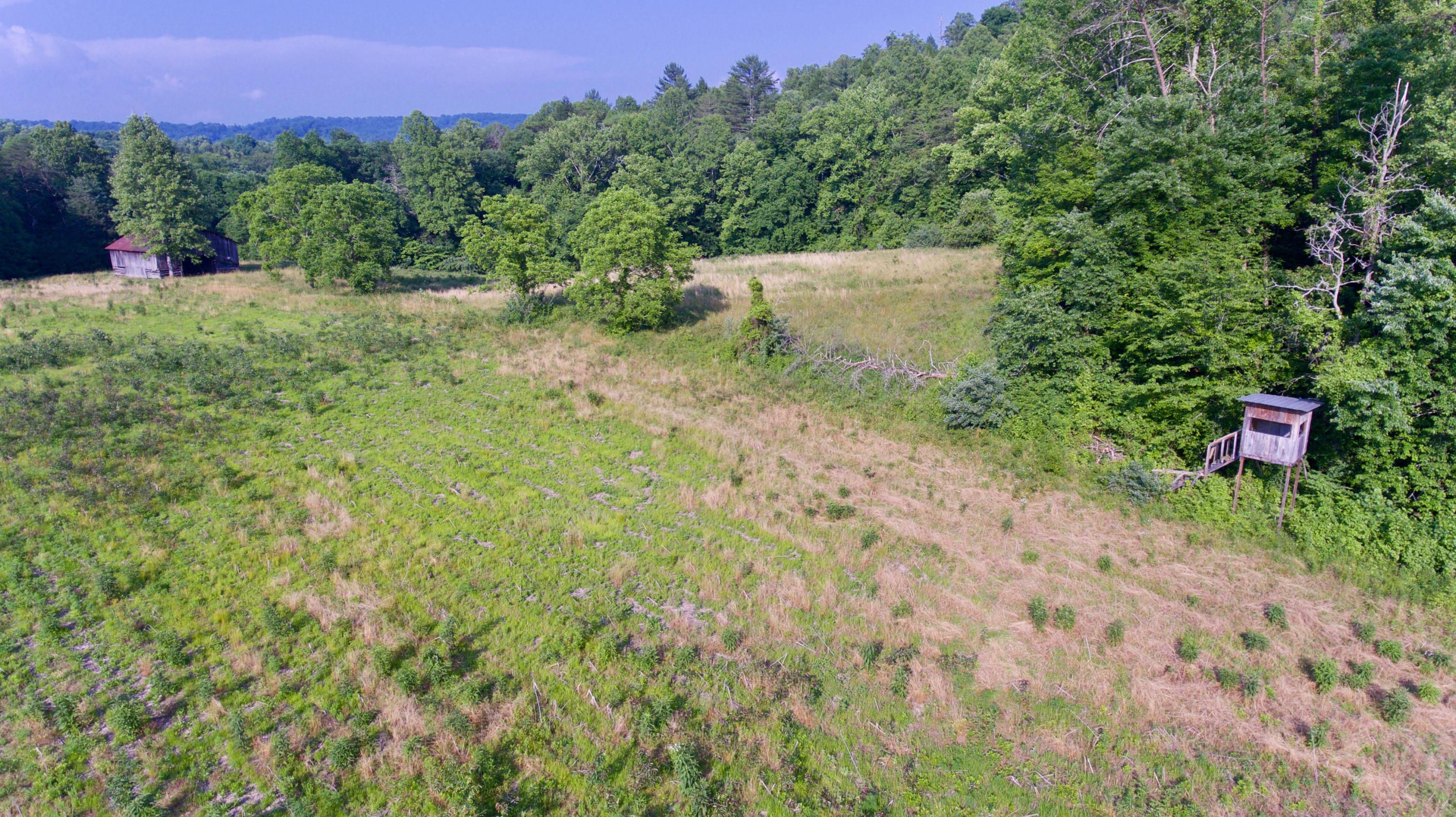 2675 Stinking Creek Road Pioneer, TN 37847 - Photo 9 of 40 9