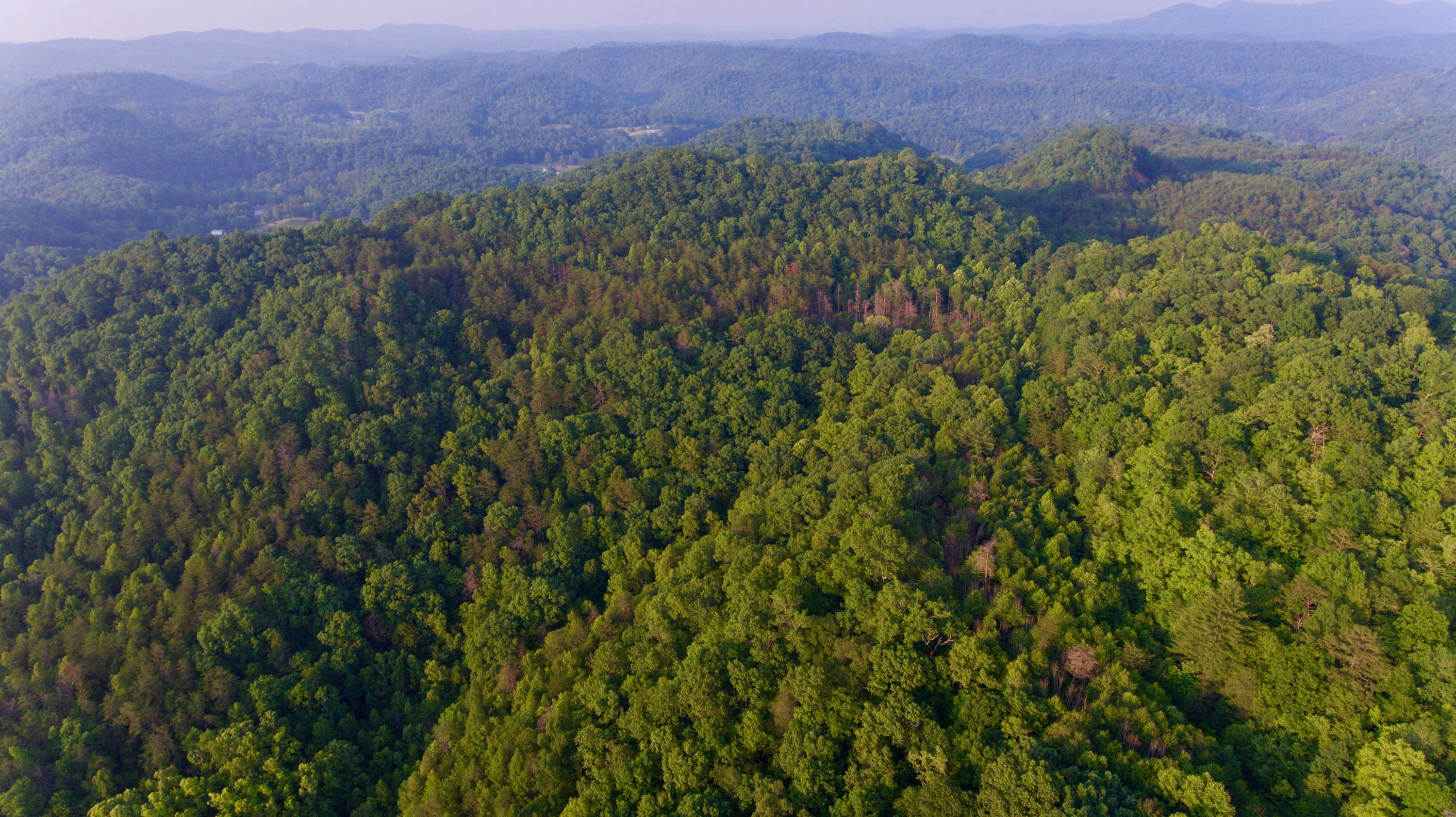 2675 Stinking Creek Road Pioneer, TN 37847 - Photo 10 of 40 10