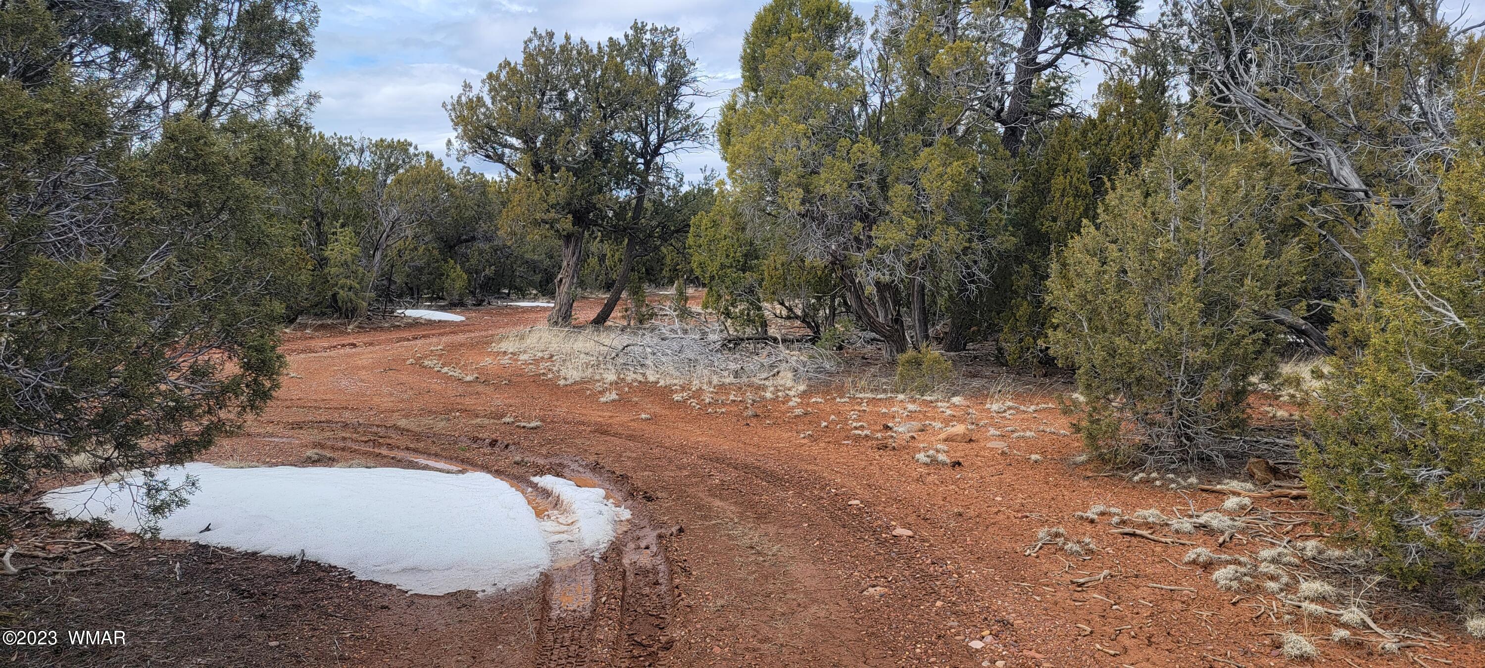 Tbd Power Line Road Overgaard, AZ 85933 - Photo 2 of 8