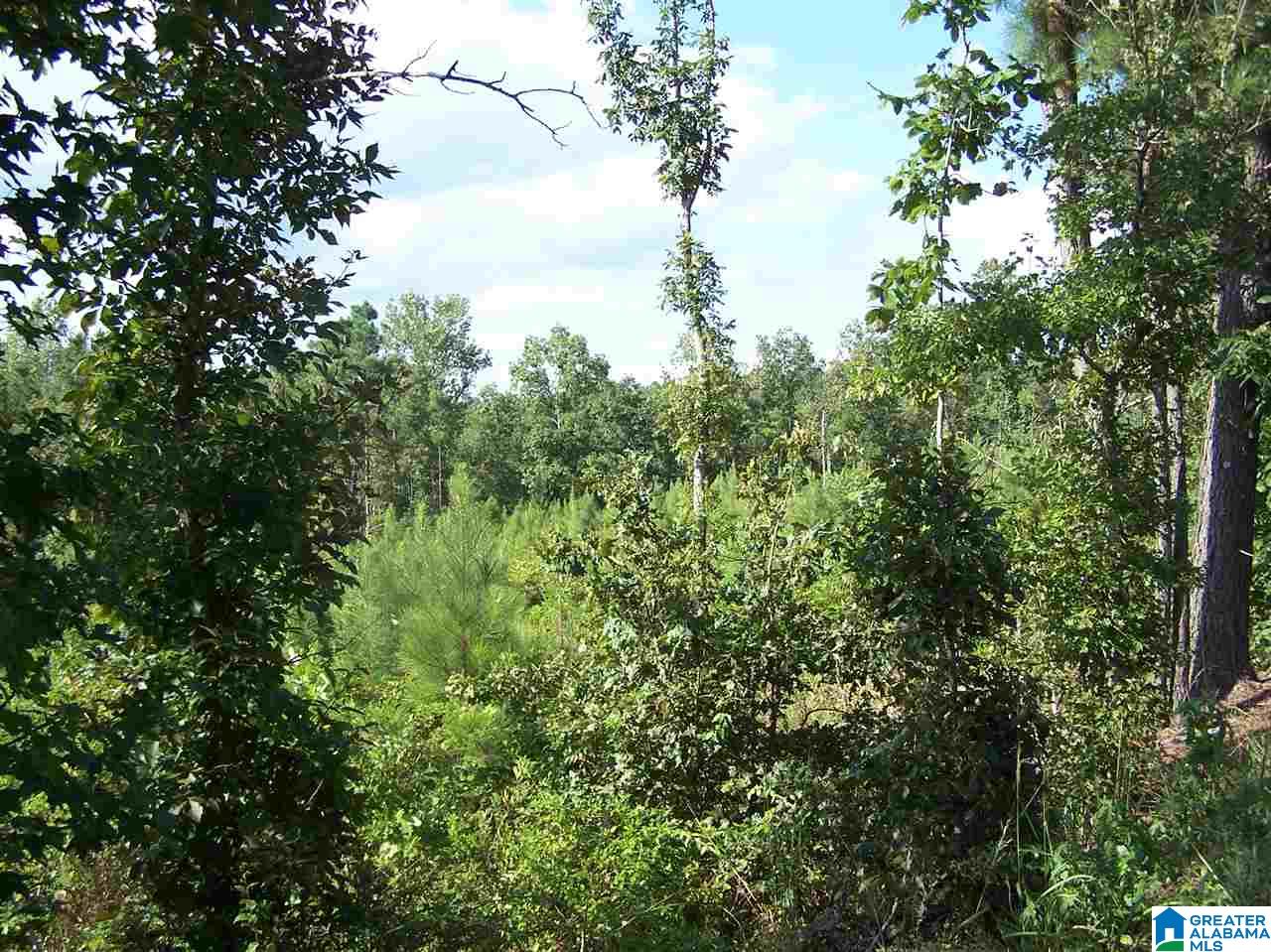 0 Jackson Trail, Unit 140 ACRES Altoona, AL 35952 - Photo 45 of 50
