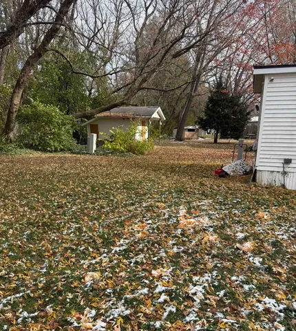 a view of a yard with plants and trees