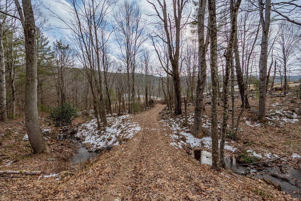 Tbd Spur Branch Road, Unit 4 Dublin, VA 24084 - Photo 45 of 85 Gallery Image 45
