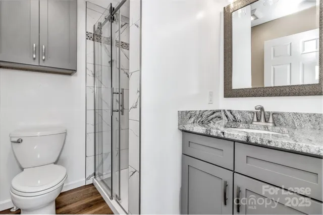 a bathroom with a granite countertop toilet sink and mirror