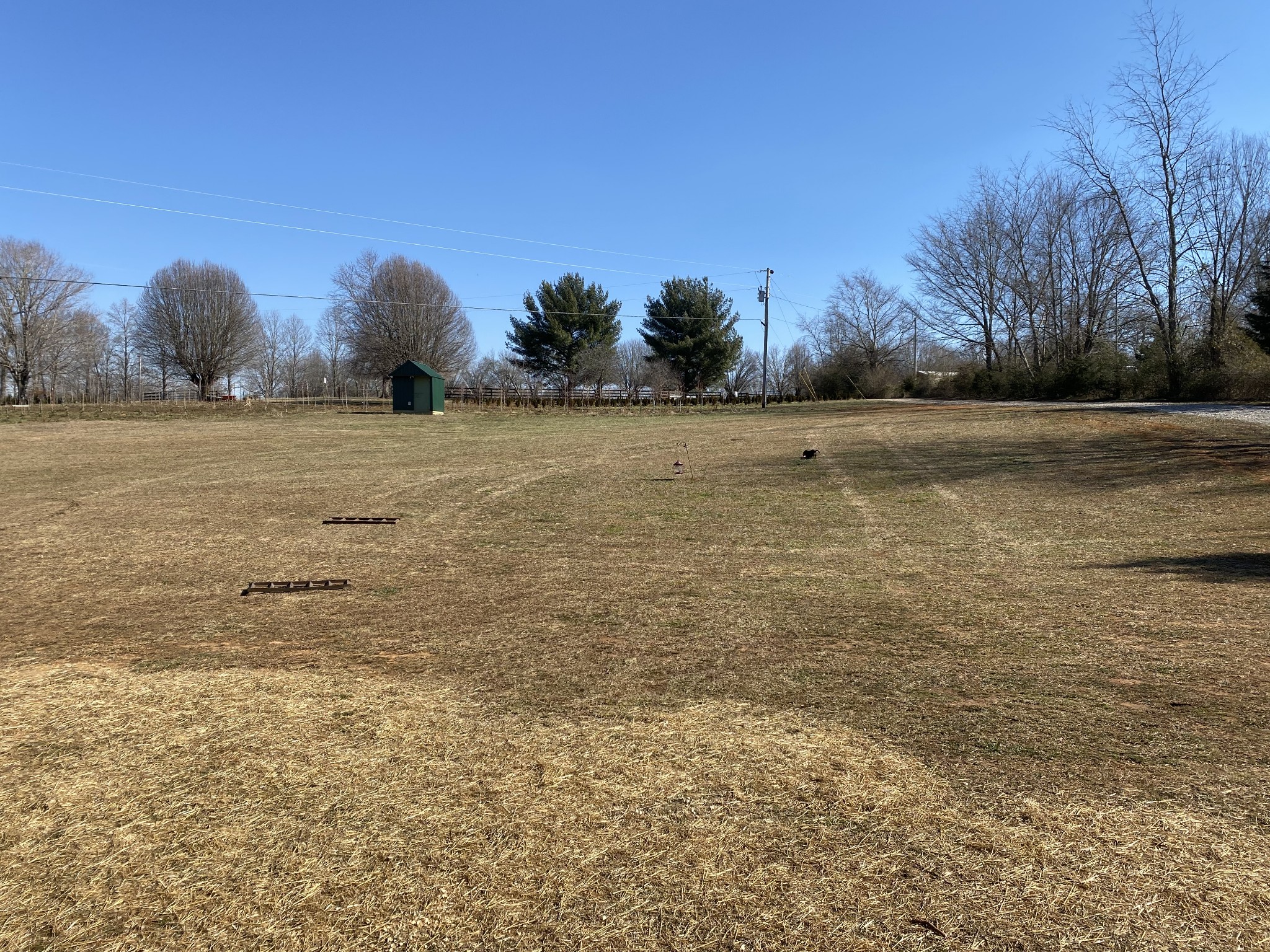 1063 Swan Mill Road Morrison, TN 37357 - Photo 8 of 35