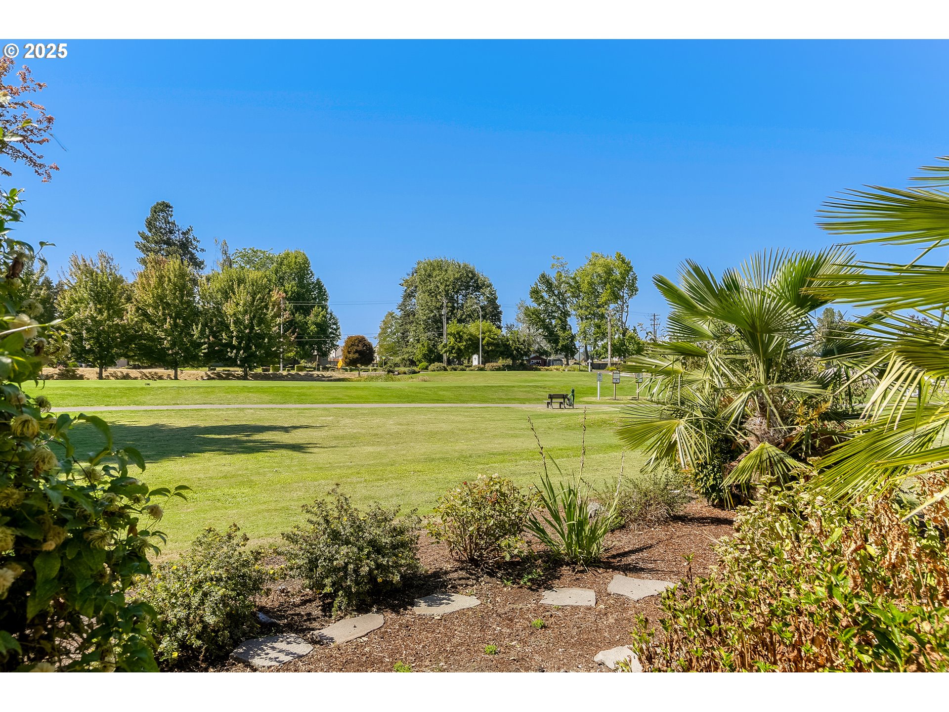 2815 Hazelnut Drive Woodburn, OR 97071 - Photo 6 of 22 a view of a yard